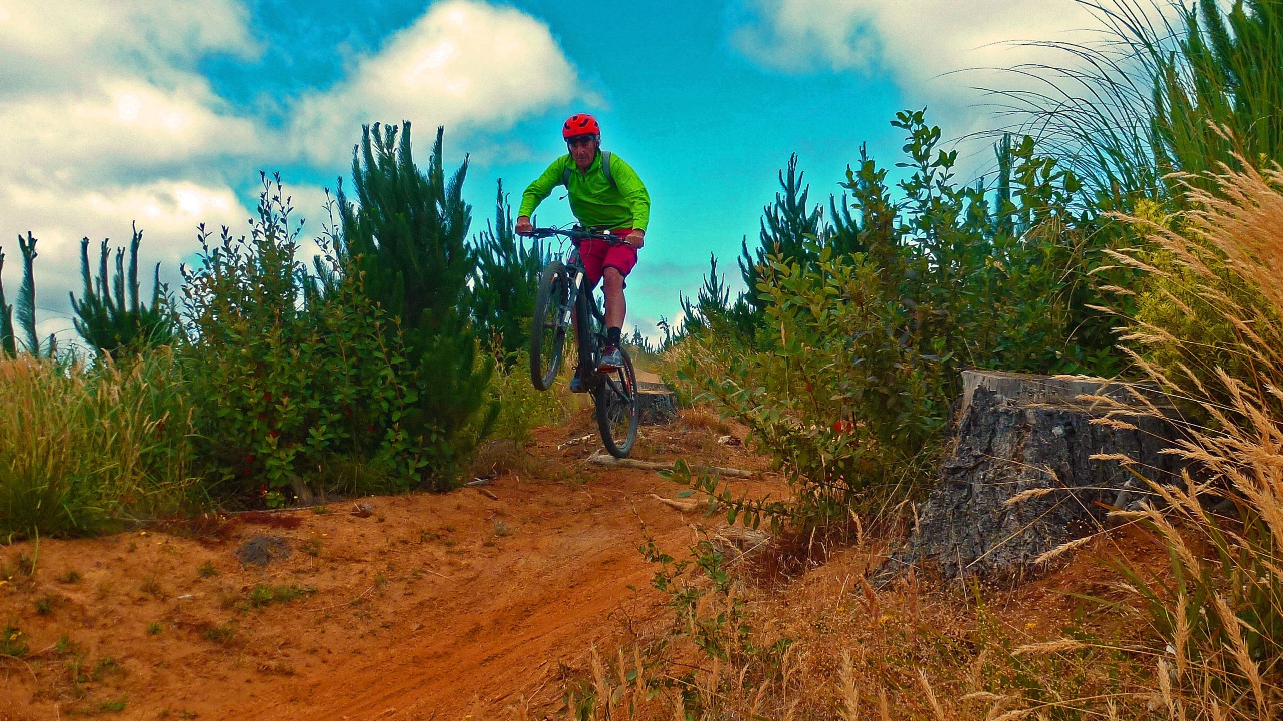 A mountain biker wearing a bright green jacket and red shorts jumps off a dirt ramp in a forested area, surrounded by tall green bushes and trees under a blue sky with clouds. Whangamata Ridges Mountainbike Park mountain bike trail.