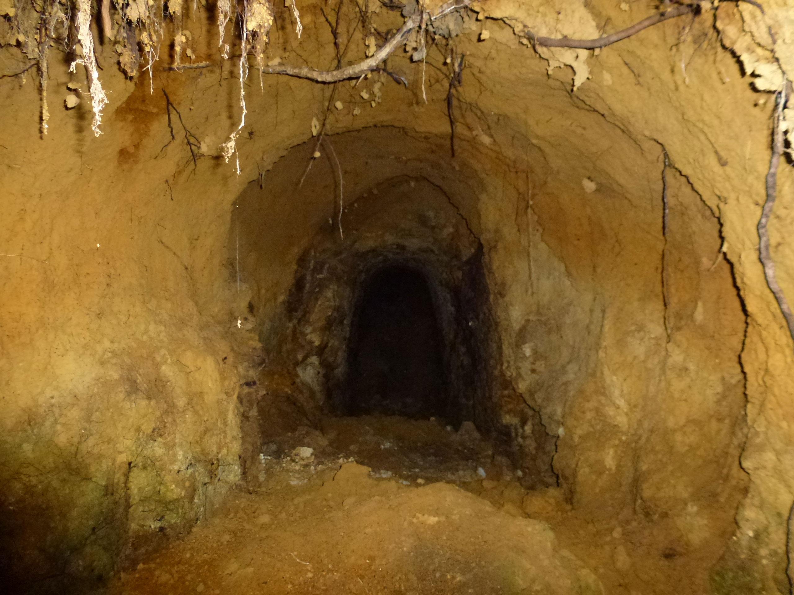 A dark tunnel entrance carved into a dirt wall, with earthy textures and exposed roots overhead. The interior of the tunnel fades into darkness, suggesting depth and intrigue. Bullock Track mountain bike trail.