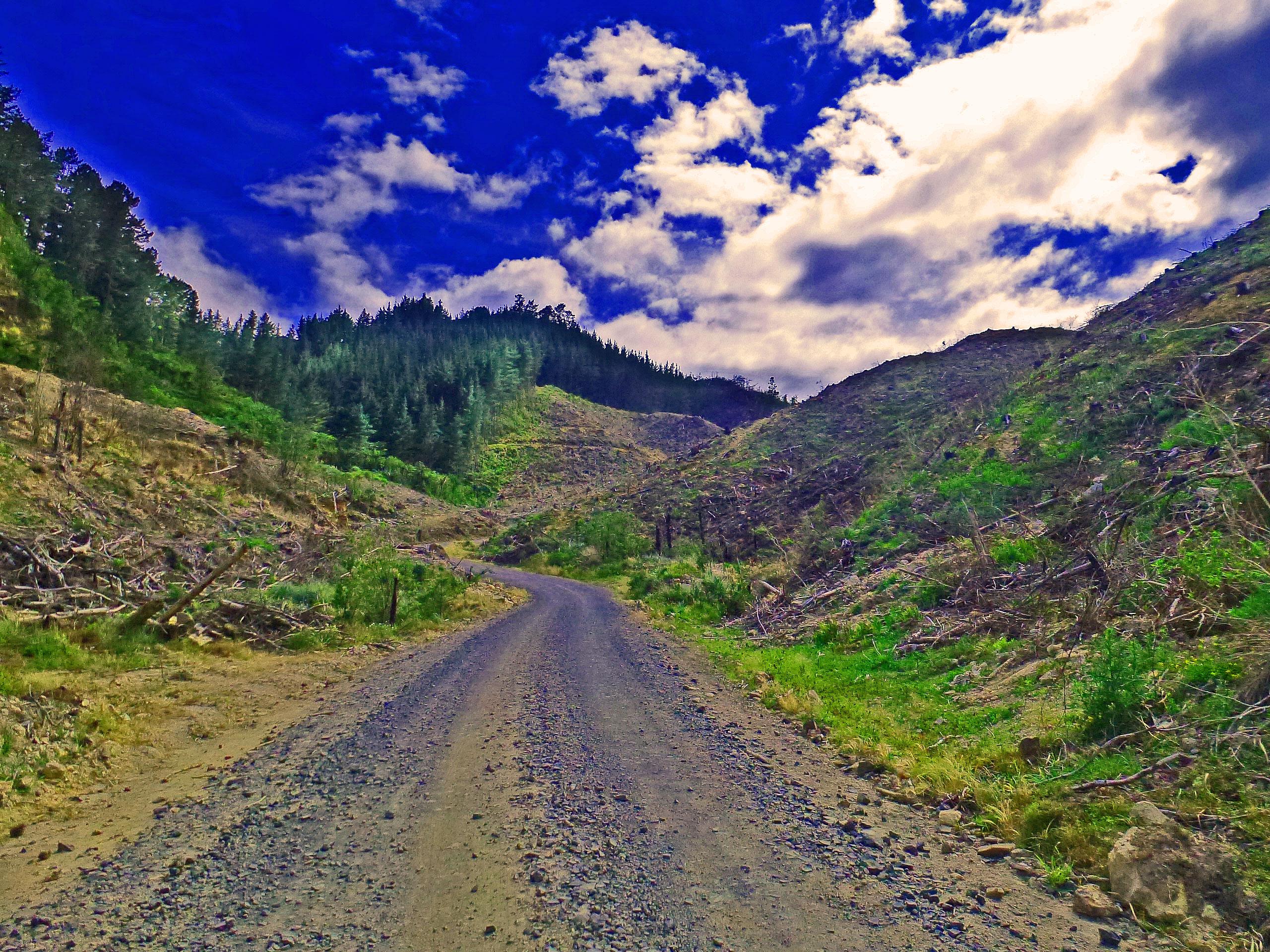 A winding gravel road passes through a forested landscape, flanked by hills on either side. The greenery of the trees contrasts against patches of clear-cut land, with remnants of logging visible. The sky above is vibrant blue with scattered clouds, creating an open and scenic atmosphere. Bullock Track mountain bike trail.