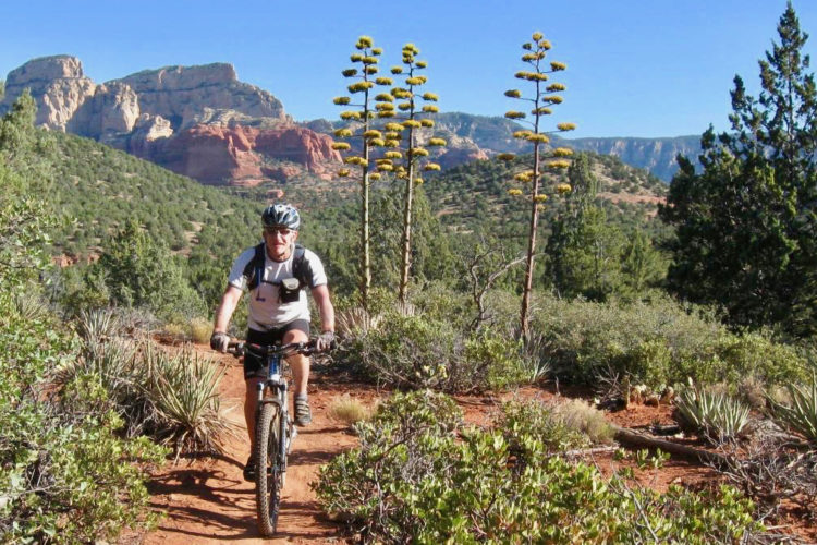 A cyclist riding a mountain bike on a dirt trail surrounded by lush vegetation and unique desert flora, with red rock formations and a clear blue sky in the background.