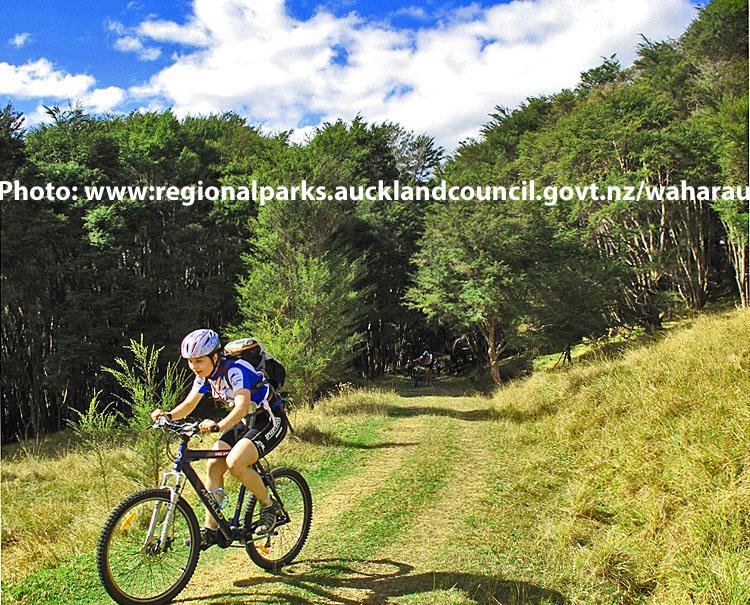 A cyclist riding a mountain bike along a grassy trail surrounded by trees under a clear blue sky. The cyclist is wearing a blue shirt and a helmet, with a backpack visible. The scene showcases a vibrant outdoor setting, perfect for biking enthusiasts. Waharau mountain bike trail.