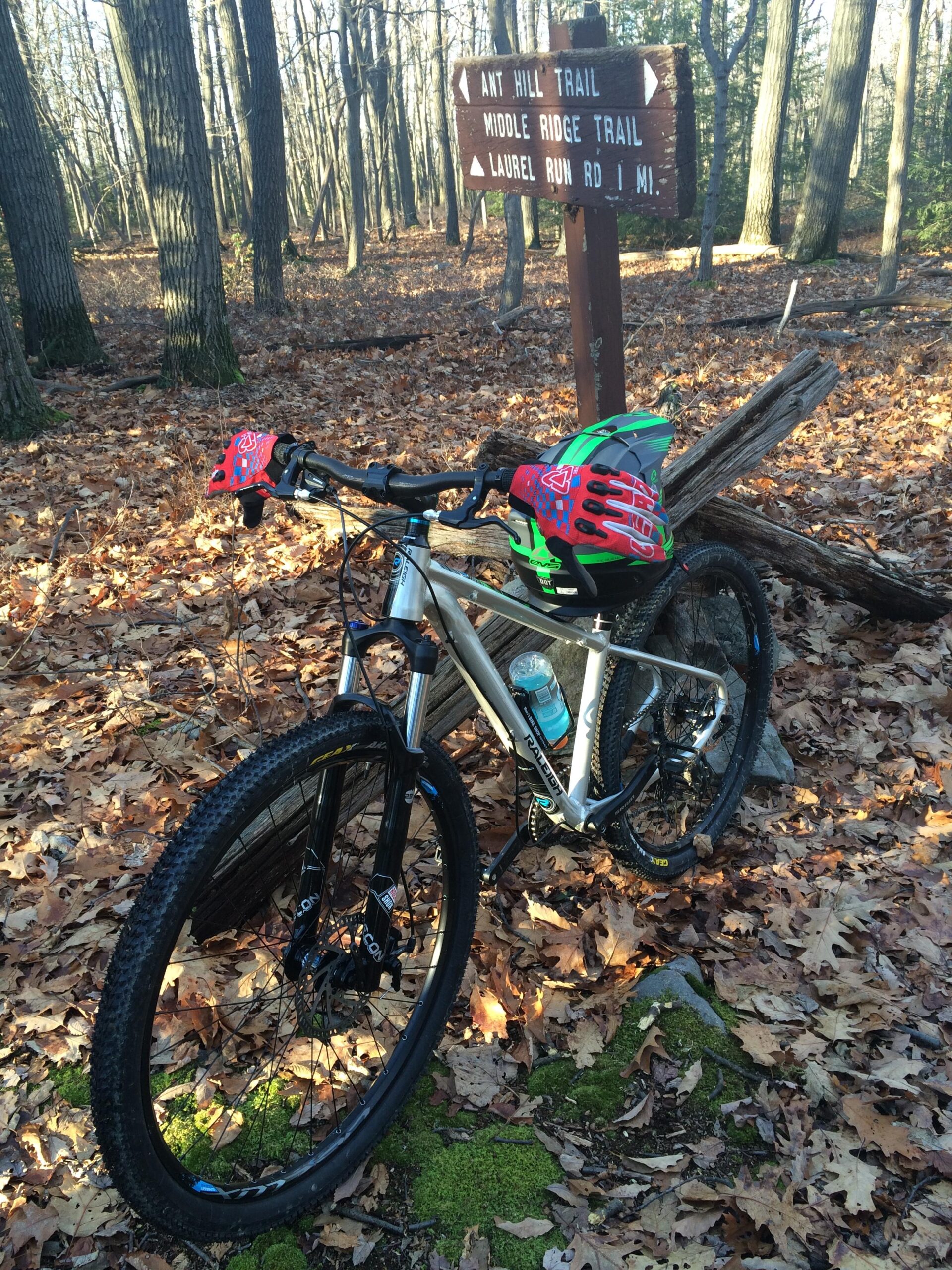 Raleigh Talus 29: A mountain bike with a colorful helmet and gloves rests against a log in a forested area covered with autumn leaves. A trail sign directing to "Ant Hill Trail," "Middle Ridge Trail," and "Laurel Run Rd 1 Mi" is visible in the background.