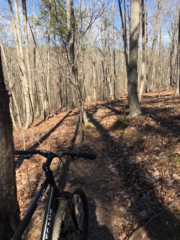 A mountain bike parked on a dirt trail surrounded by a forest of bare trees and scattered autumn leaves, with sunlight filtering through the branches on a clear day. Chicopee Woods mountain bike trail.