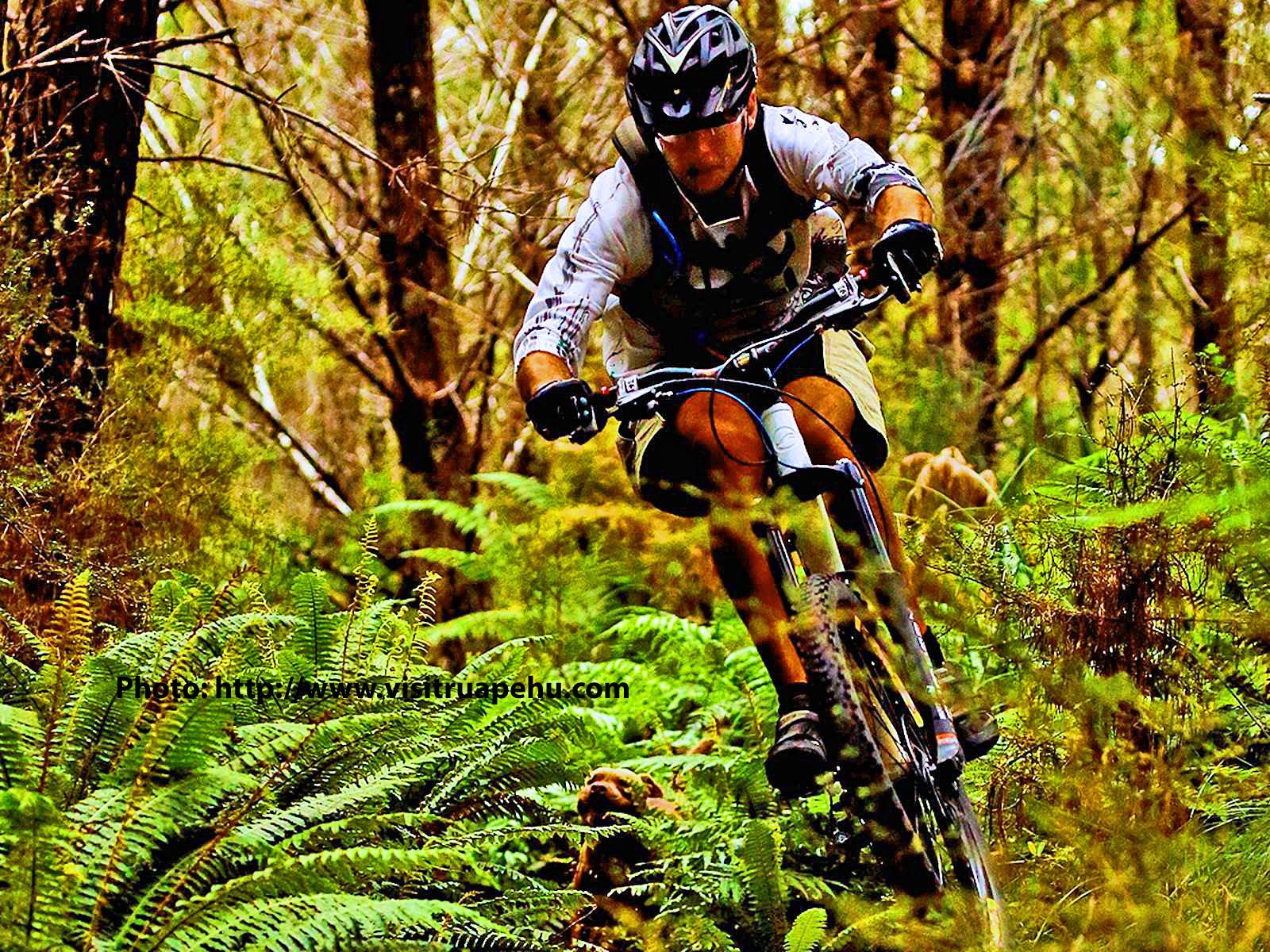 A mountain biker navigating a rugged forest trail surrounded by lush green ferns and trees. The rider is leaning forward, focused on the path ahead, wearing a helmet and protective gear. The Pines mountain bike trail.