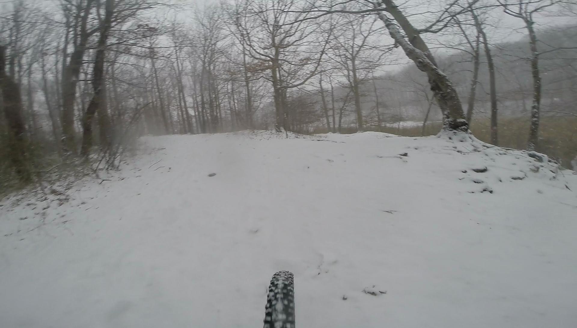 A snowy forest trail viewed from the perspective of a mountain bike. The ground is covered in a layer of fresh snow, while bare trees line the path, creating a tranquil, wintery scene. Visibility is limited due to falling snowflakes, giving the image a serene and chilly atmosphere. Wolfes Pond park mountain bike trail.