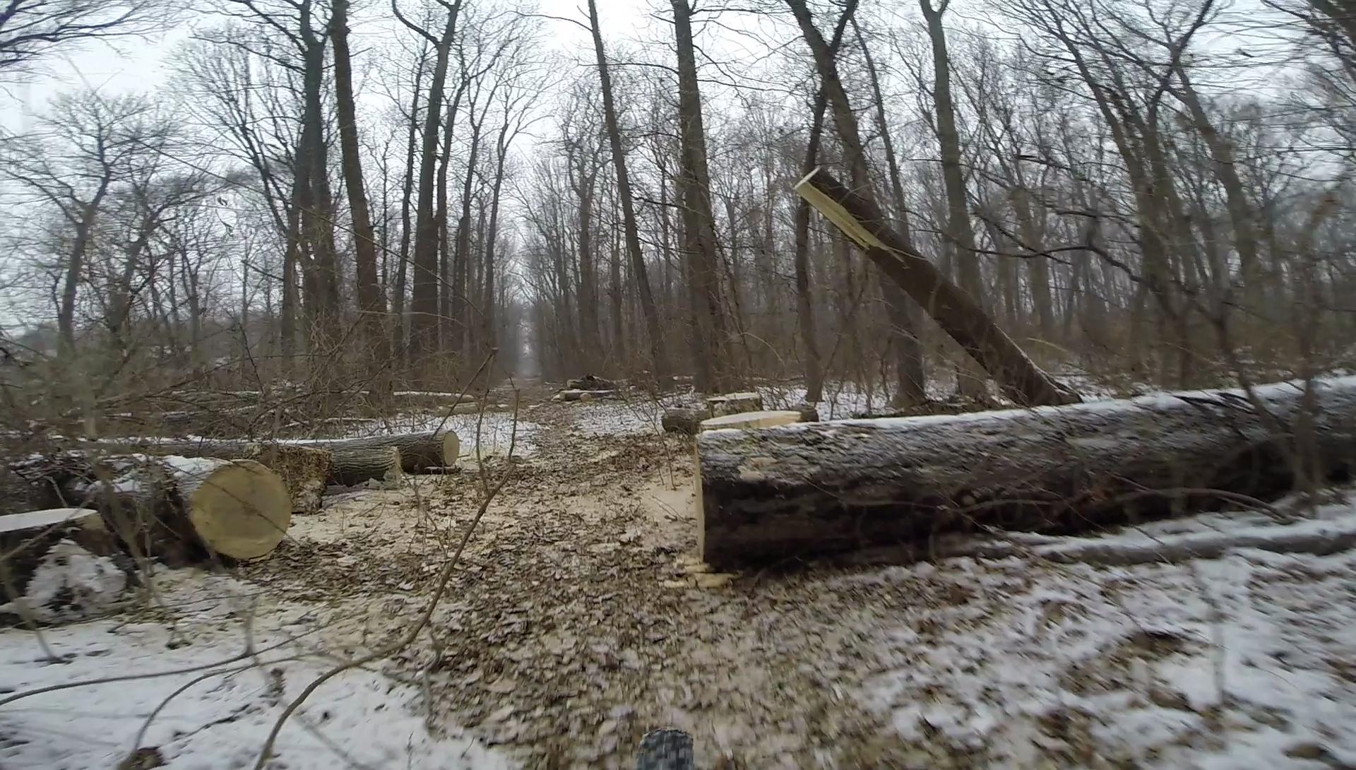 A snowy forest path lined with bare trees and fallen logs, creating a natural, rugged landscape. The ground is covered with dried leaves and a light dusting of snow, suggesting a chilly winter day. Trails seperated by streets mountain bike trail.