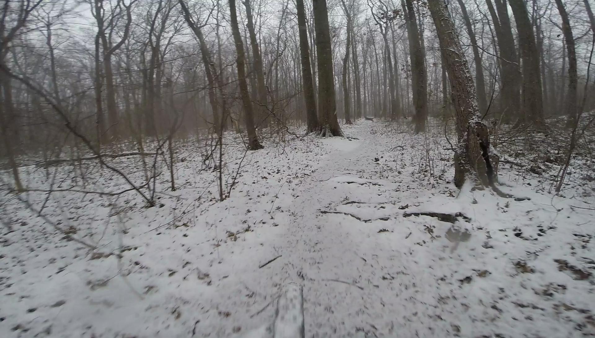 A snowy forest trail surrounded by tall, leafless trees, with a light mist in the air. The ground is covered with a thin layer of snow, and the path is visible, winding through the serene winter landscape. Trails seperated by streets mountain bike trail.