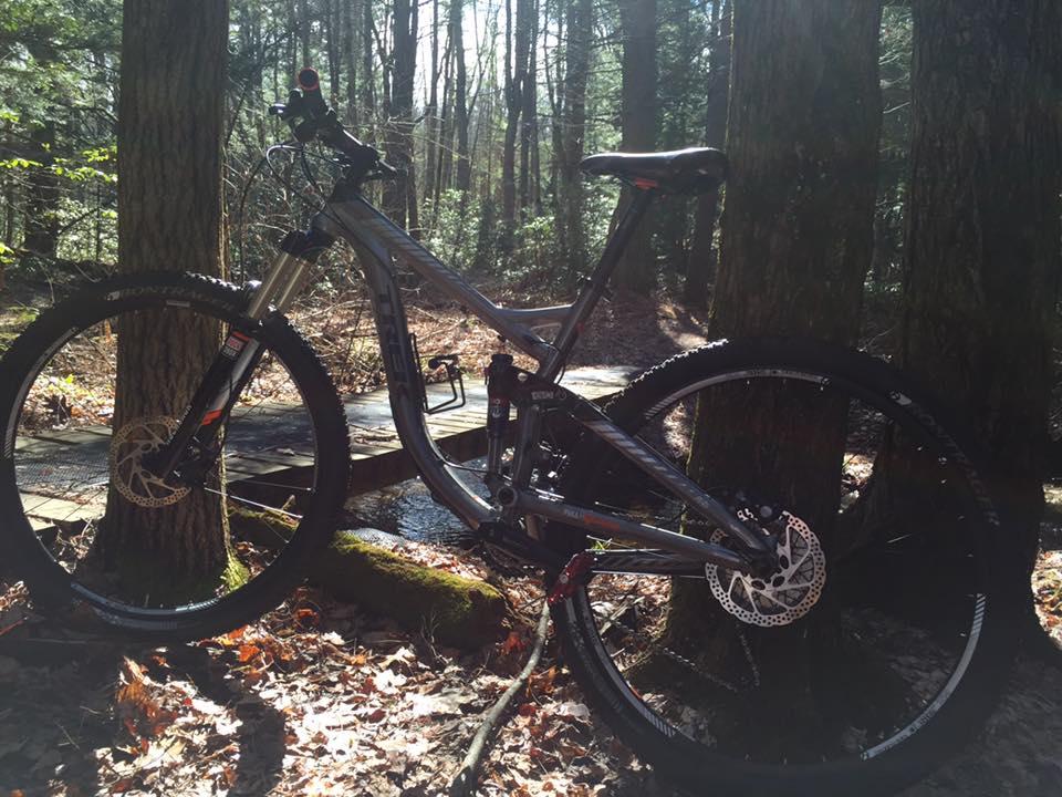 Trek Remedy 7: A mountain bike leaning against a tree in a wooded area, with sunlight filtering through the trees. A small stream and wooden bridge are visible in the background, surrounded by fallen leaves and underbrush.