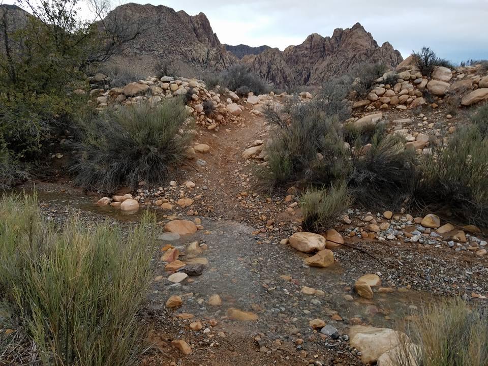 A dirt path winding through rocky terrain, flanked by shrubs and grasses, with a small stream of water crossing the trail. Majestic rocky formations rise in the background under a cloudy sky. Cottonwood Valley North mountain bike trail.