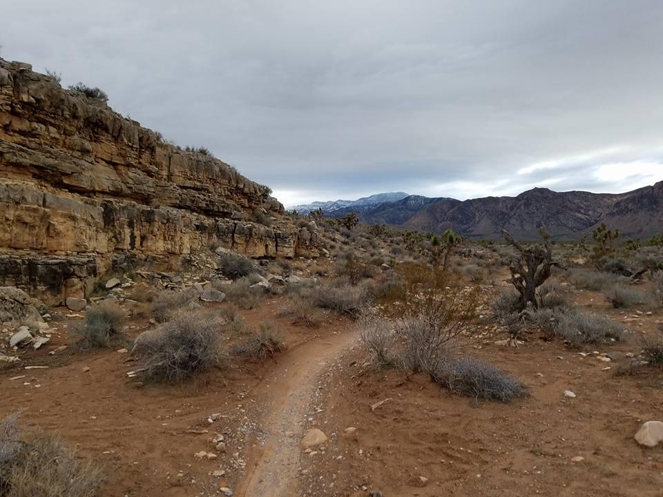 A winding dirt path leads through a rugged desert landscape, flanked by rocky cliffs and sparse vegetation. In the background, distant mountains are partially covered with snow under a cloudy sky. The scene captures the serene, natural beauty of the arid environment. Cottonwood Valley North mountain bike trail.