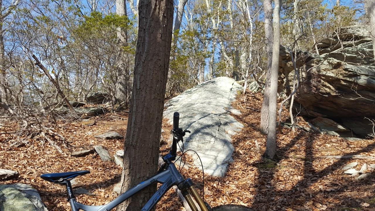 A mountain bike rests against a tree in a wooded area, surrounded by rocky terrain and scattered autumn leaves. The scene is illuminated by sunlight filtering through the trees, creating a tranquil outdoor atmosphere. Frederick Watershed mountain bike trail.