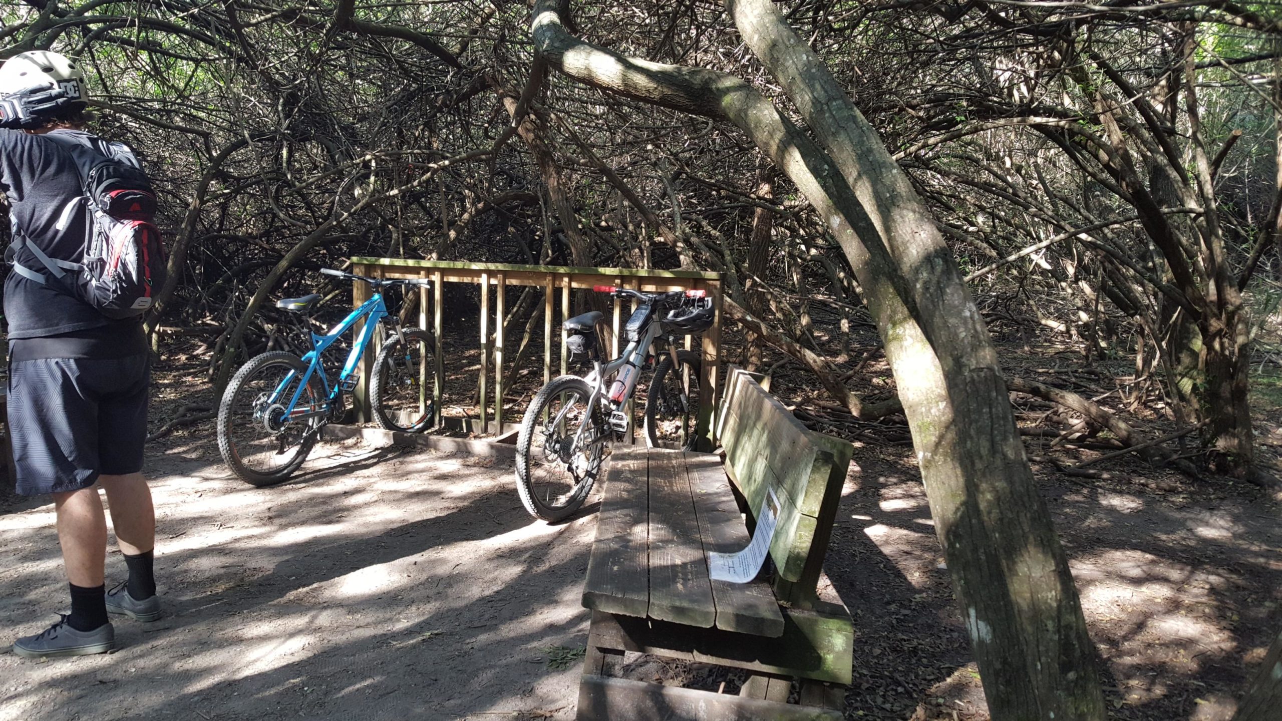 A natural trail area with a bench and two mountain bikes parked nearby. One bike is blue while the other is gray. The setting is surrounded by dense, intertwining branches and trees, creating a leafy canopy. A person in a backpack is standing in the foreground, facing away from the camera. The ground is sandy with patches of sunlight filtering through the trees. Caloosahatchee Regional Park mountain bike trail.