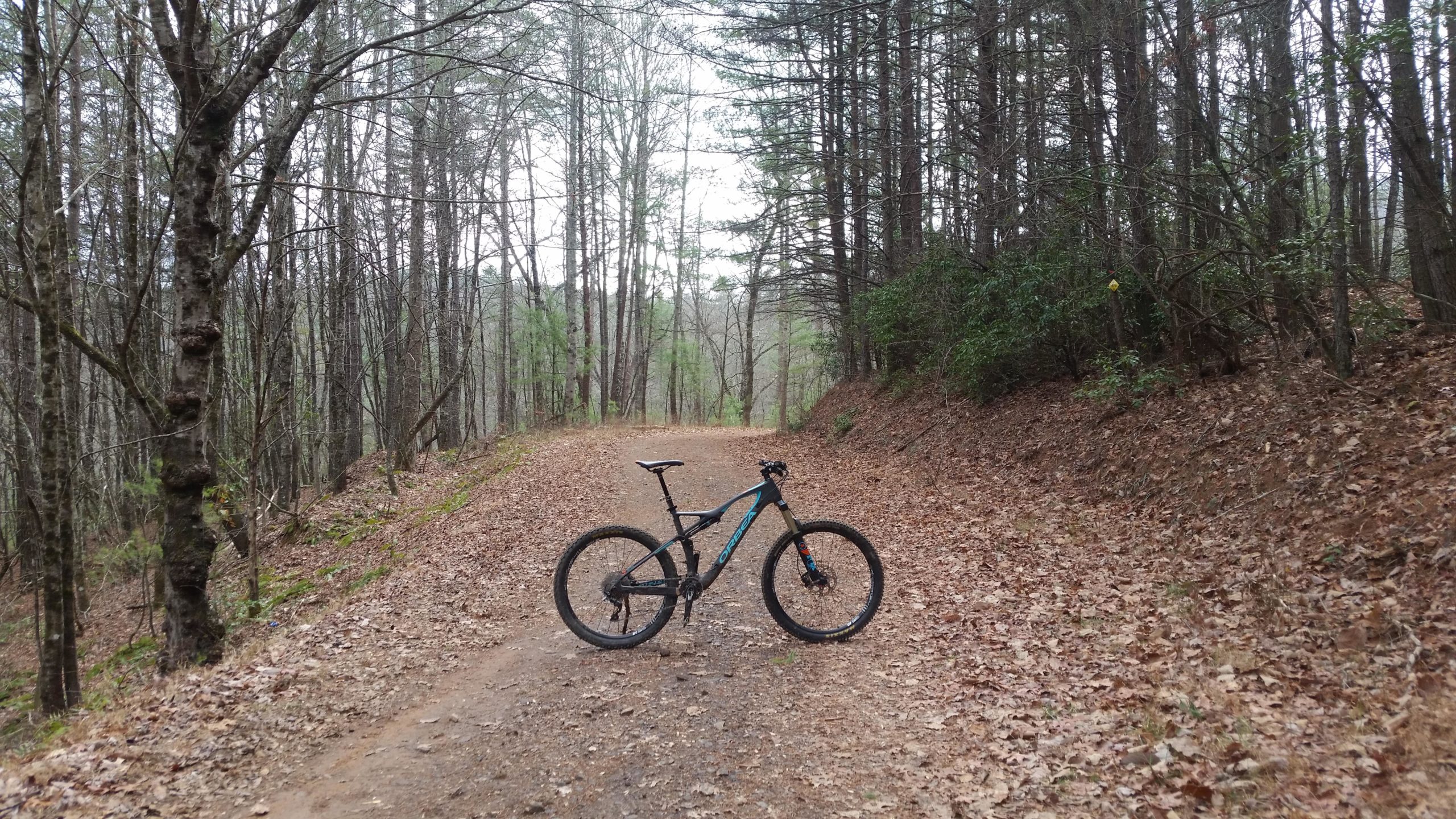 A mountain bike standing on a dirt path surrounded by a dense forest of trees. The ground is covered with fallen leaves, and the scene is set in a tranquil, natural environment, suggesting a perfect location for outdoor biking activities. The atmosphere is calm and slightly overcast. Jake Mountain Trails mountain bike trail.