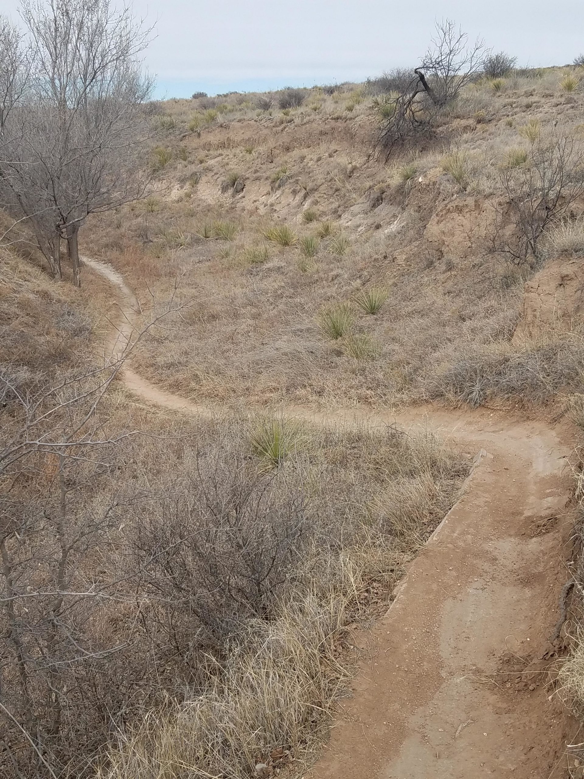 A winding dirt path through a grassy canyon, flanked by sparse trees and shrubs. The landscape is mostly brown and dry, with patches of greenery and a clear sky in the background. Pitcher Pump mountain bike trail.