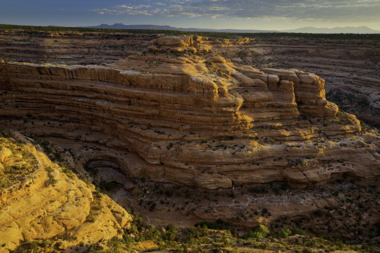 A panoramic view of layered sandstone cliffs illuminated by soft evening light, showcasing intricate rock formations and a rugged desert landscape under a partly cloudy sky.