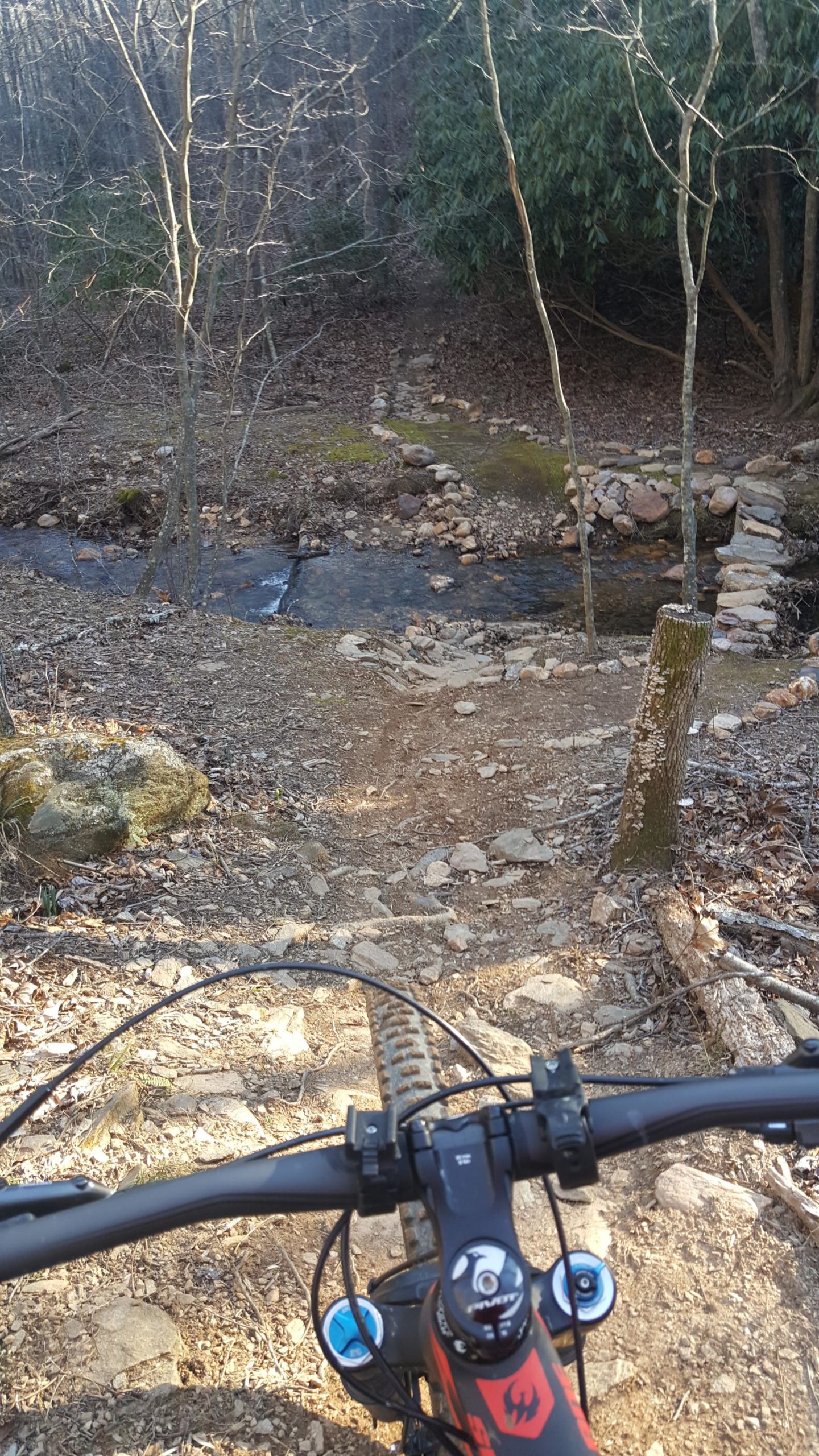 A view from the handlebars of a mountain bike overlooking a rugged, dirt path leading down towards a small creek surrounded by trees and rocky terrain. Woolwine Trails [Shiners Revenge] mountain bike trail.