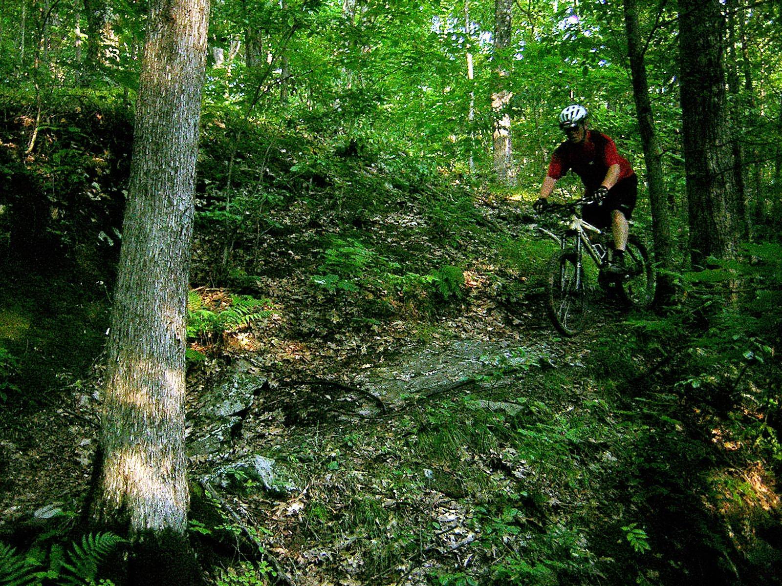 A mountain biker riding down a narrow, rocky trail in a dense forest. The sun filters through the leaves, casting dappled light on the ground, while greenery surrounds the path. The biker is wearing a red shirt and a helmet, focused on navigating the terrain. Saxon Hill mountain bike trail.