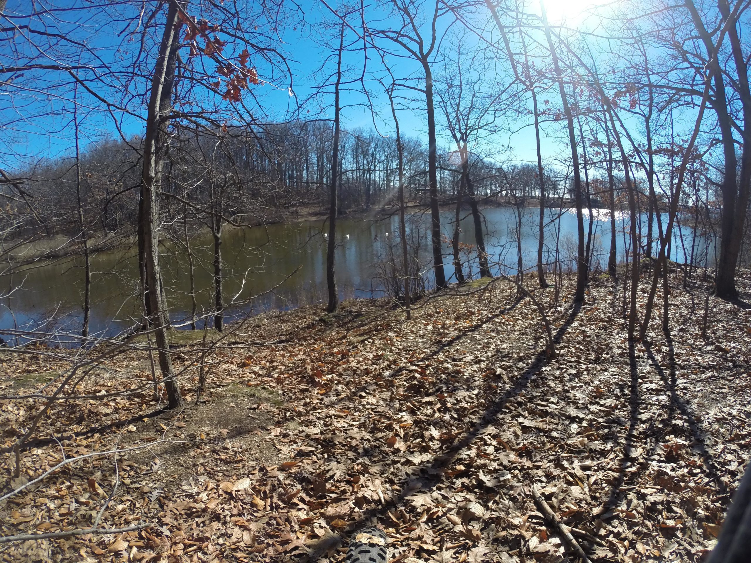 A serene riverside view showing a calm water body surrounded by bare trees and fallen leaves, under a clear blue sky. Sunlight shines brightly, creating reflections on the water's surface. Wolfes Pond park mountain bike trail.