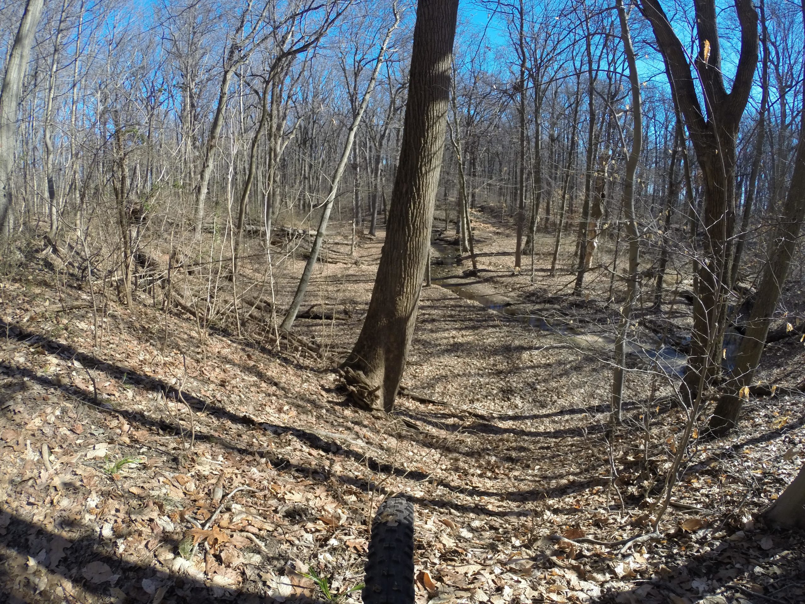 A wooded area in early spring with bare trees and a forest floor covered in brown fallen leaves. In the foreground, a partial view of a mountain bike tire is visible. The scene features a steep incline leading to a creek, with patches of sunlight filtering through the branches under a clear blue sky. Wolfes Pond park mountain bike trail.