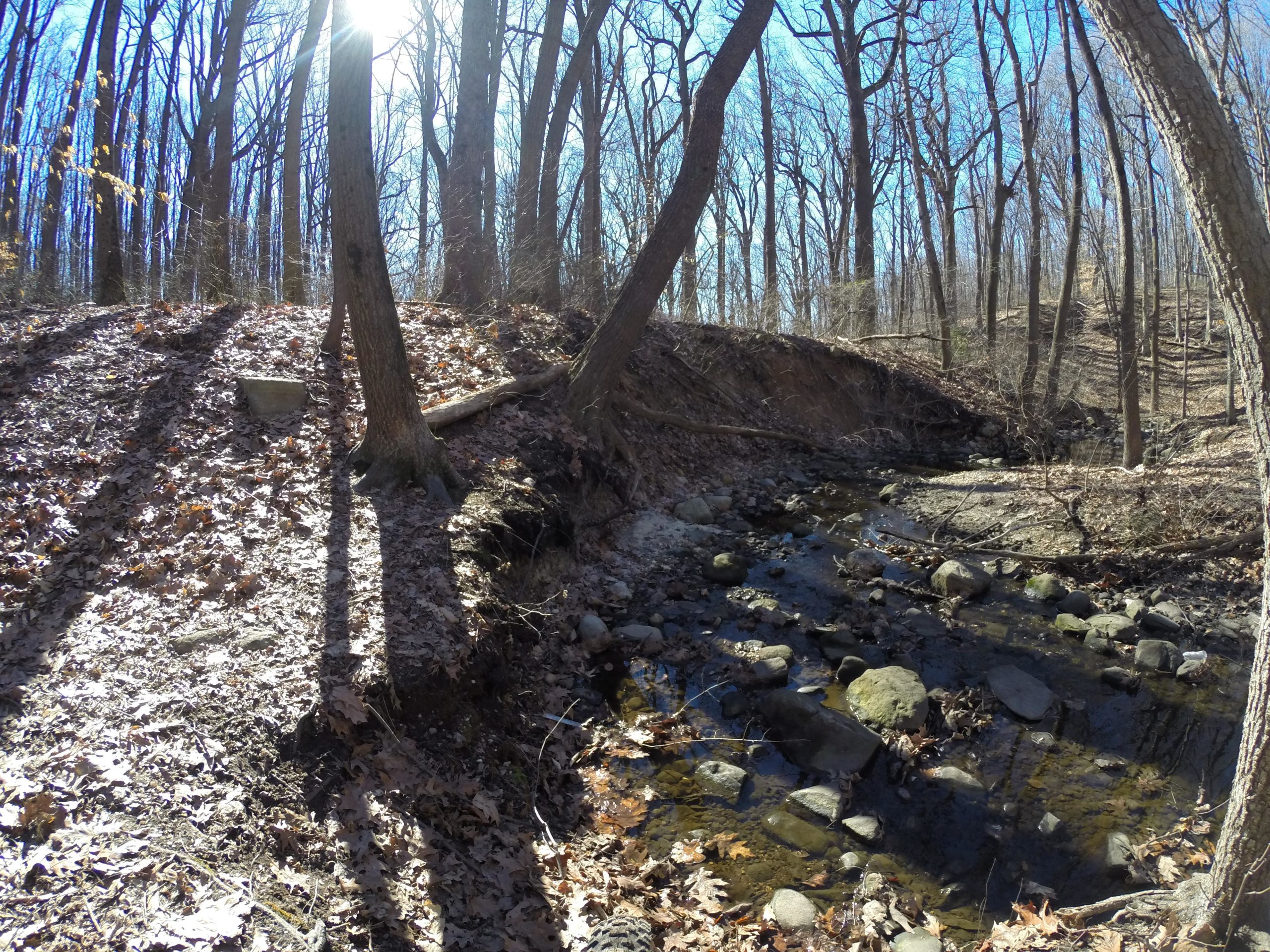 A serene forest scene featuring a small creek winding through a landscape of leaf-covered ground and tall, leafless trees. The sun shines brightly in the background, illuminating the serene, natural setting. Rocks and fallen branches are scattered near the water's edge, enhancing the tranquil atmosphere. Wolfes Pond park mountain bike trail.