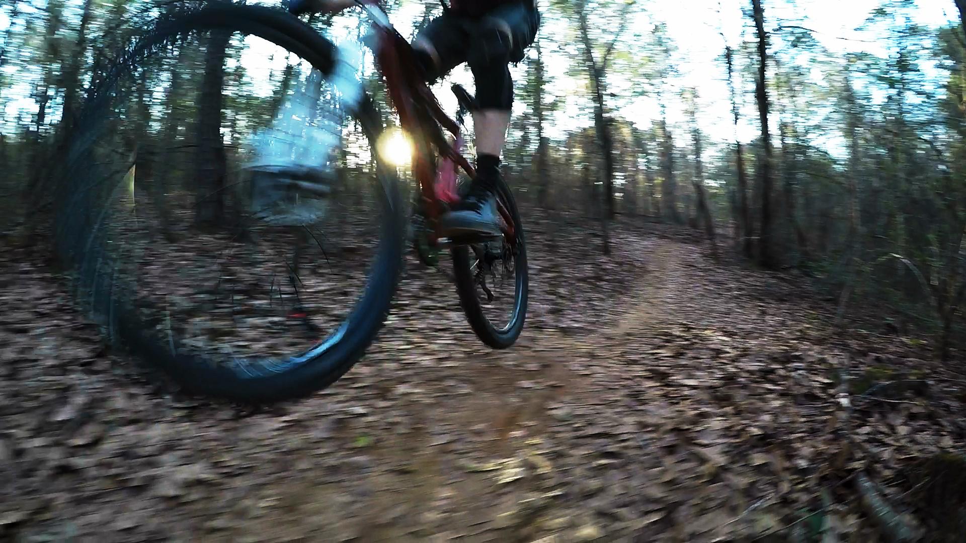 A mountain biker riding on a dirt trail covered with fallen leaves, surrounded by trees. The tire is in motion, suggesting speed, with sunlight filtering through the forest. Beaver Creek / Forever Wild Trails mountain bike trail.