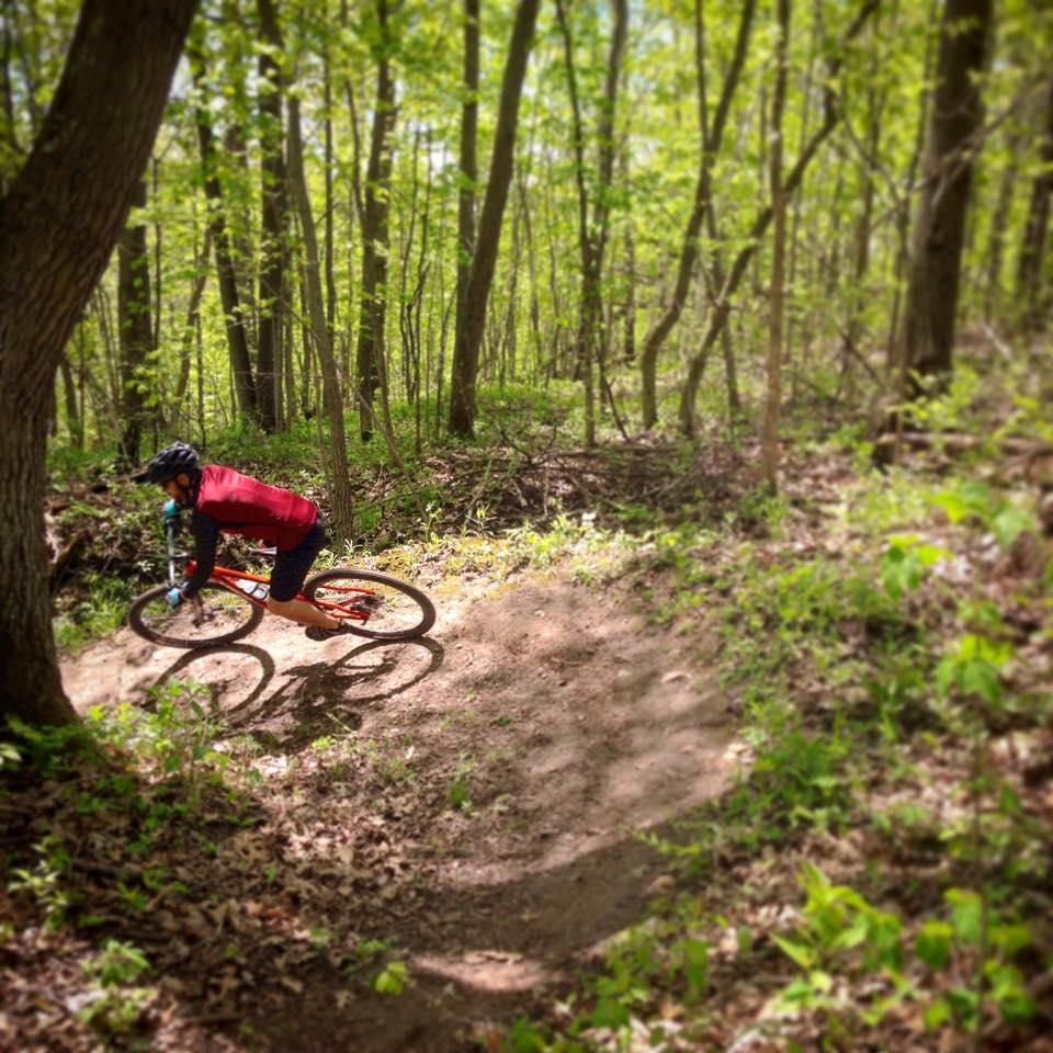 A mountain biker in a red jersey navigates a curved dirt trail surrounded by lush green trees in a forest setting. The rider is leaning into the turn, highlighting the dynamic movement and energy of the ride. Sunlight filters through the leaves, creating a vibrant and adventurous atmosphere. Hickory Ridge mountain bike trail.