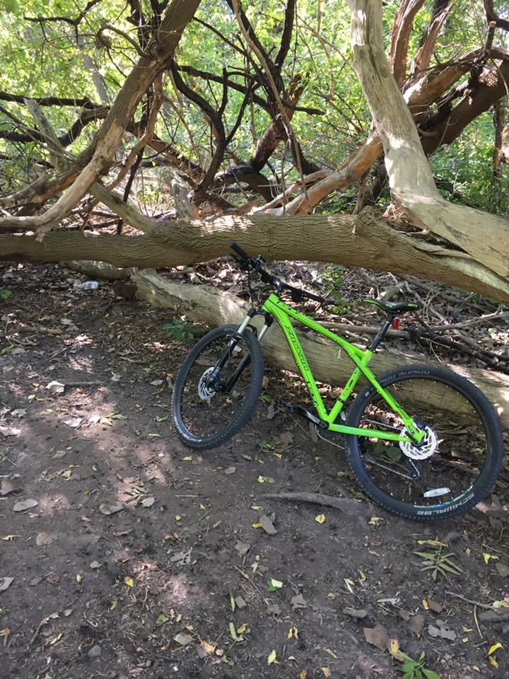 GT Zaskar: A bright green mountain bike leaning against a fallen tree in a wooded area, with scattered leaves on the ground and sunlight filtering through the tree branches.