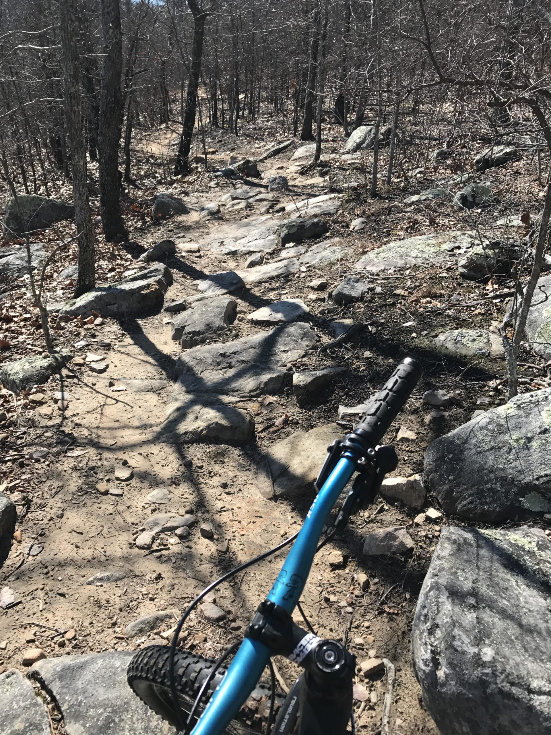 A view of a rocky mountain biking trail surrounded by bare trees and scattered rocks, with a blue bicycle handlebar in the foreground, indicating an active biking path on a sunny day. Coldwater Mountain mountain bike trail.