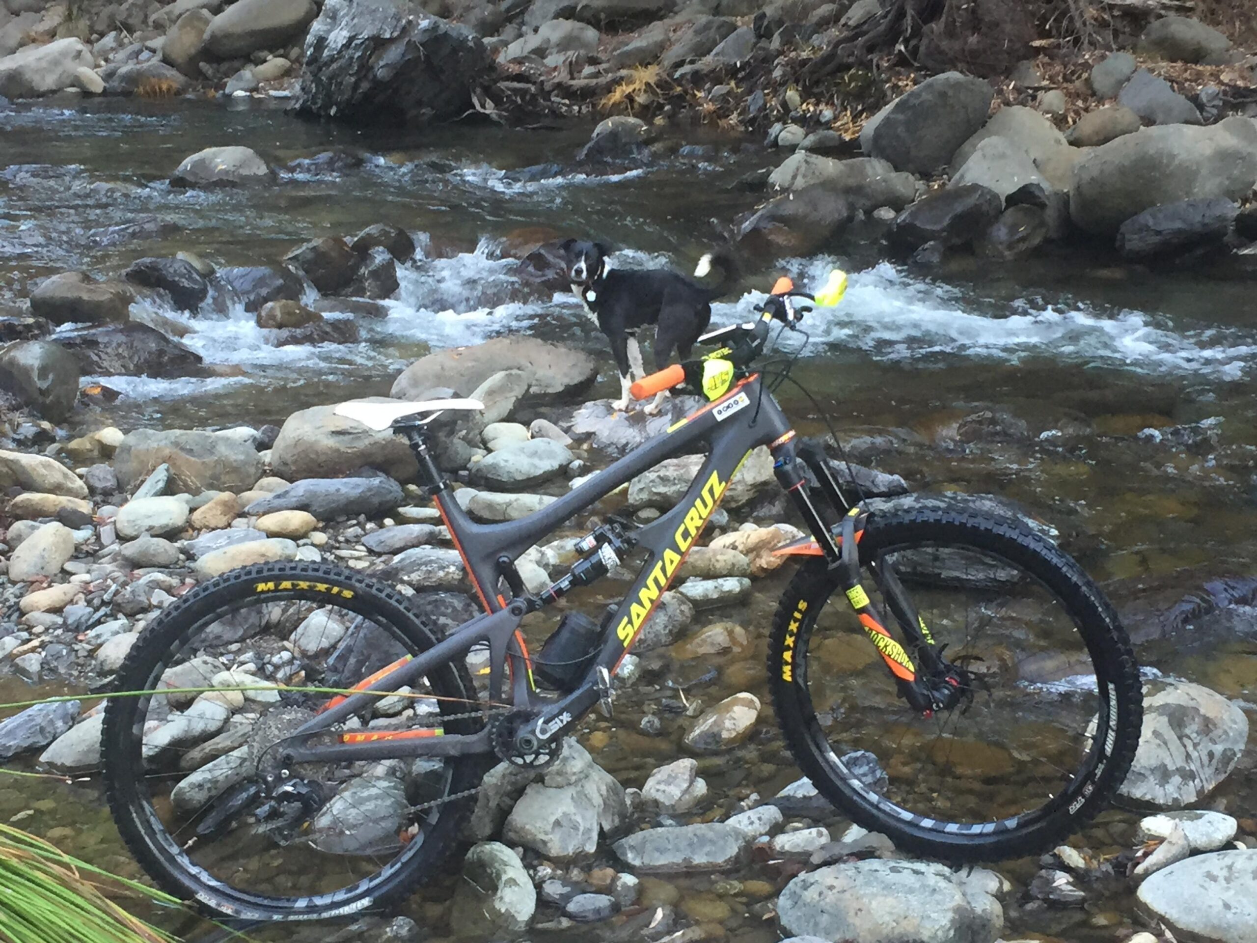 Santa Cruz Nomad: A mountain bike with a black and orange frame is parked on a rocky riverbank beside a gently flowing stream. In the background, a dog is standing on a rock near the water. The scene captures a natural outdoor setting with smooth stones and lush greenery.