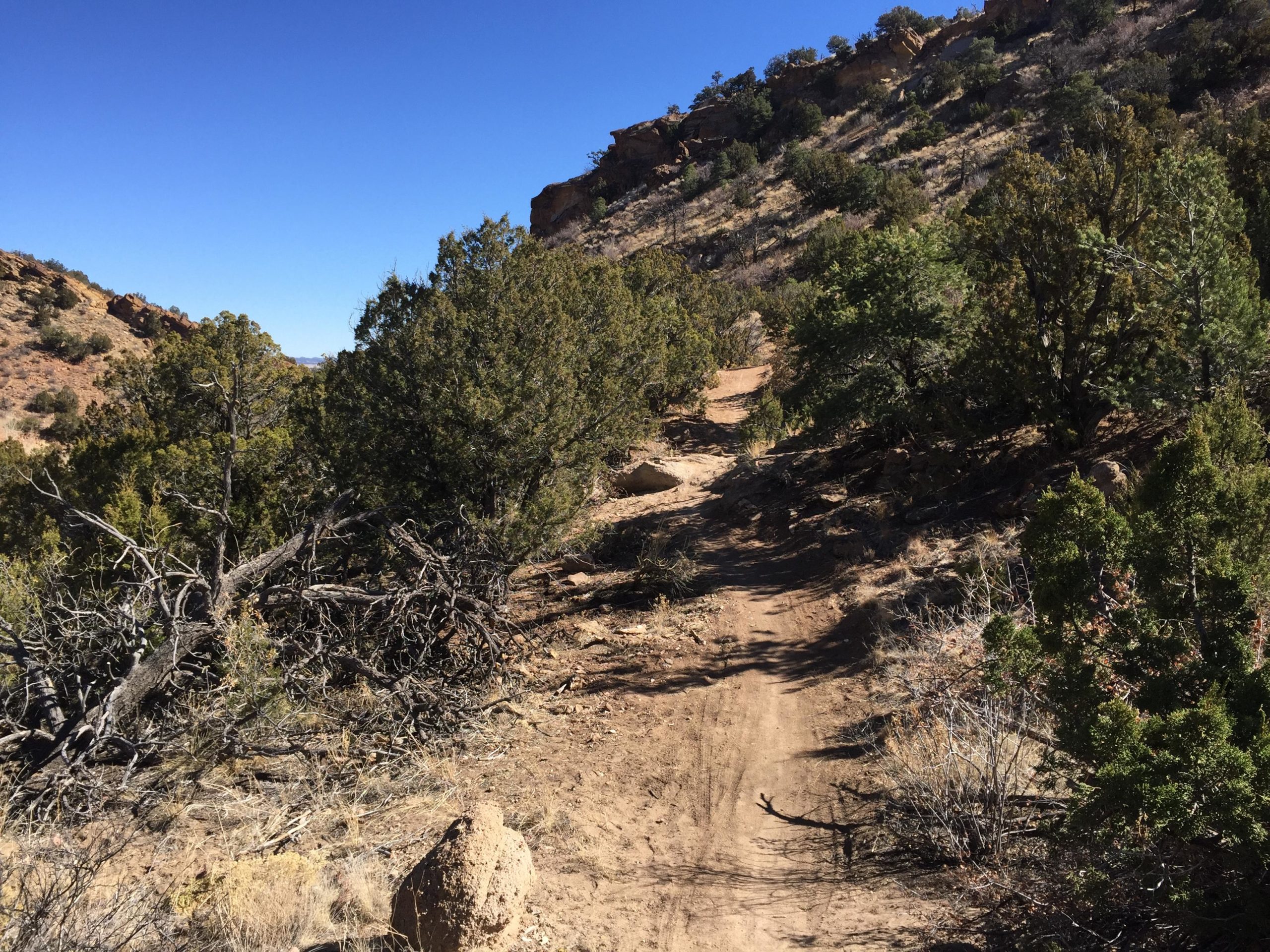 A dirt trail winding through a rugged landscape with scattered shrubs and trees, surrounded by rocky hills under a clear blue sky. South Canon Trails mountain bike trail.