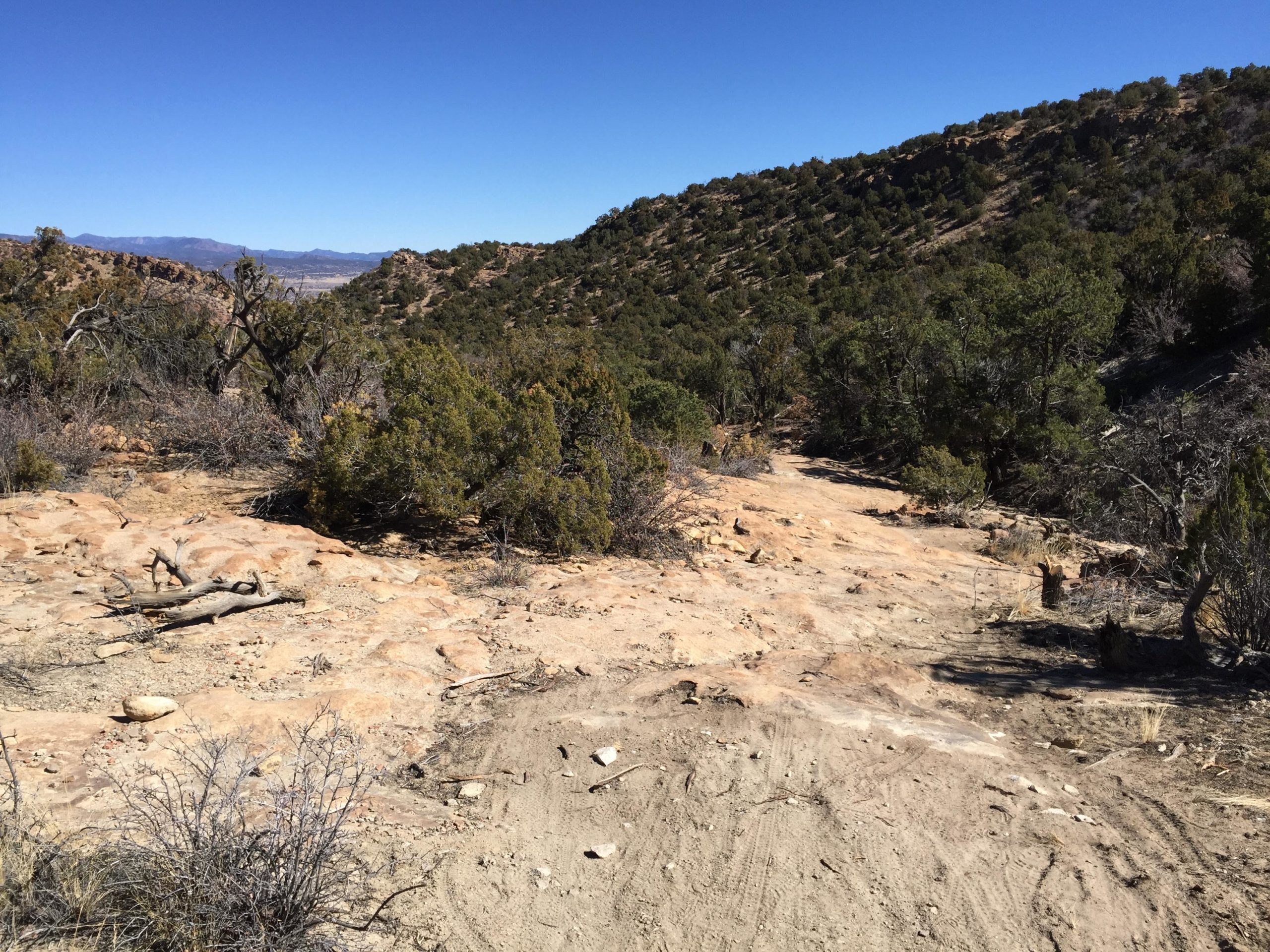 A rocky landscape featuring scrub brush and sparse trees, with a clear blue sky overhead. The terrain is rugged, showing dry earth and scattered stones, while distant hills and mountains are visible in the background. South Canon Trails mountain bike trail.