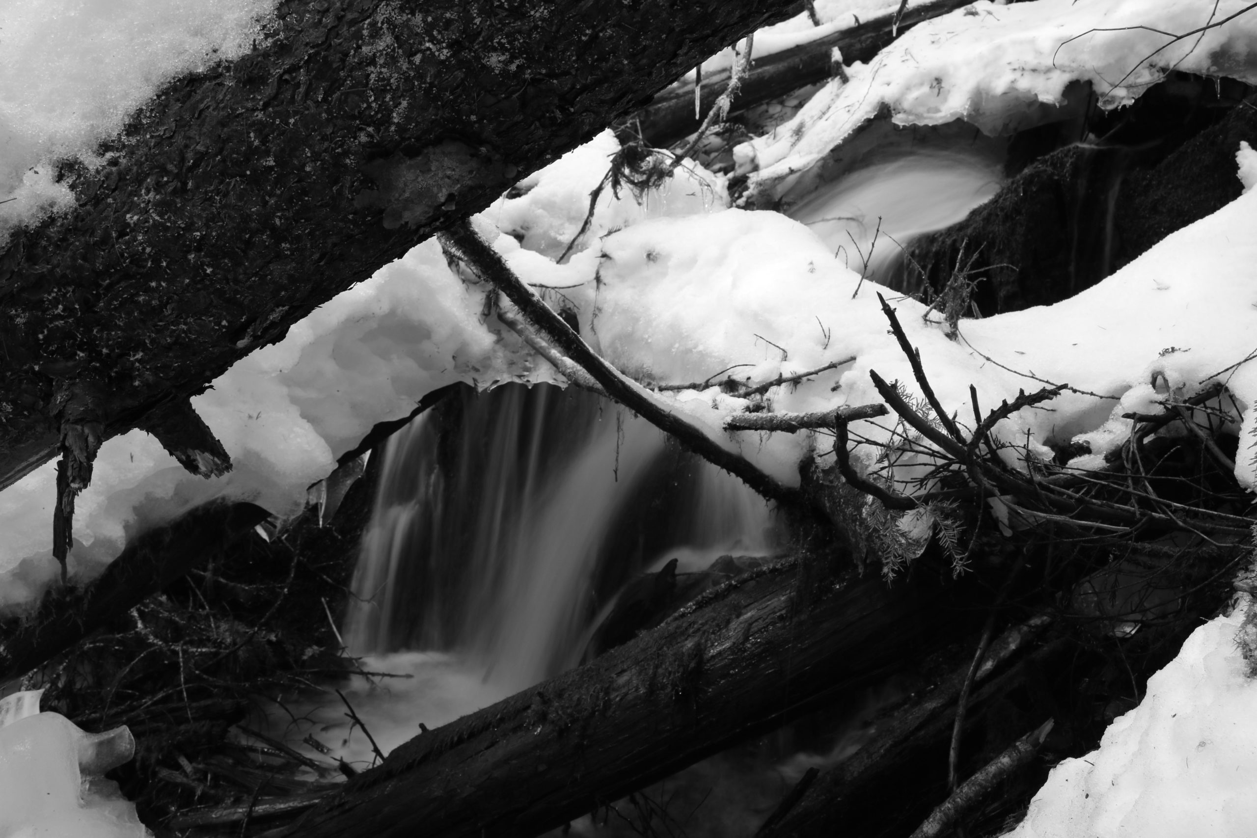 A black and white image of a small waterfall flowing through a snowy landscape, framed by fallen branches and logs partially covered in snow. The gentle motion of the water creates a soft contrast against the stillness of the surrounding snow and wood. Red Bluff Trail #553 mountain bike trail.