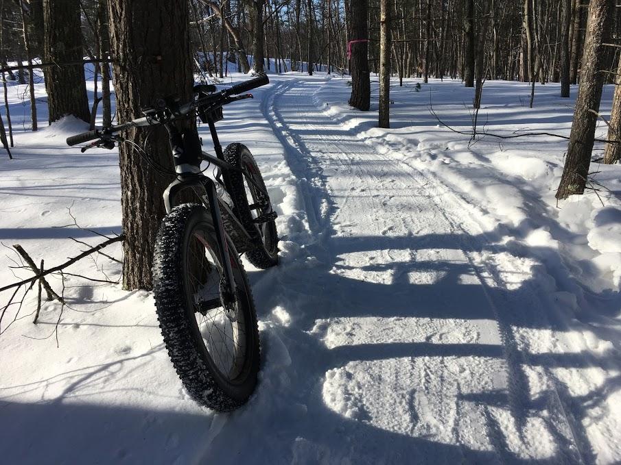 A fat bike rests against a tree on a snowy forest trail, with tire tracks visible in the soft snow. The scene is illuminated by bright sunlight, highlighting the tranquil winter atmosphere surrounded by tall trees. Cadillac WST (winter sport trail) mountain bike trail.