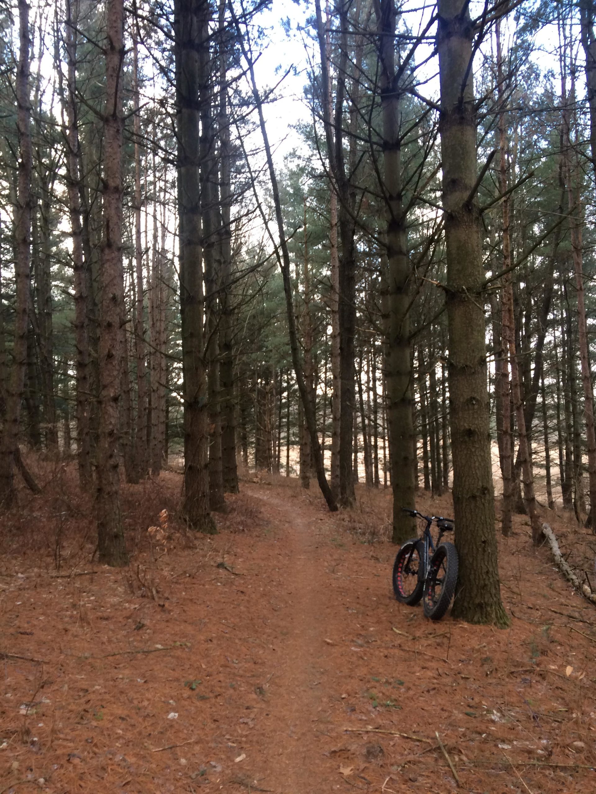 A narrow dirt path winding through a pine forest, lined with tall trees. A black fat-tire bike leans against a tree to the right of the path, surrounded by fallen pine needles and earthy debris. The sky is partially visible in the background, indicating a clear day. Bonneyville Mill mountain bike trail.