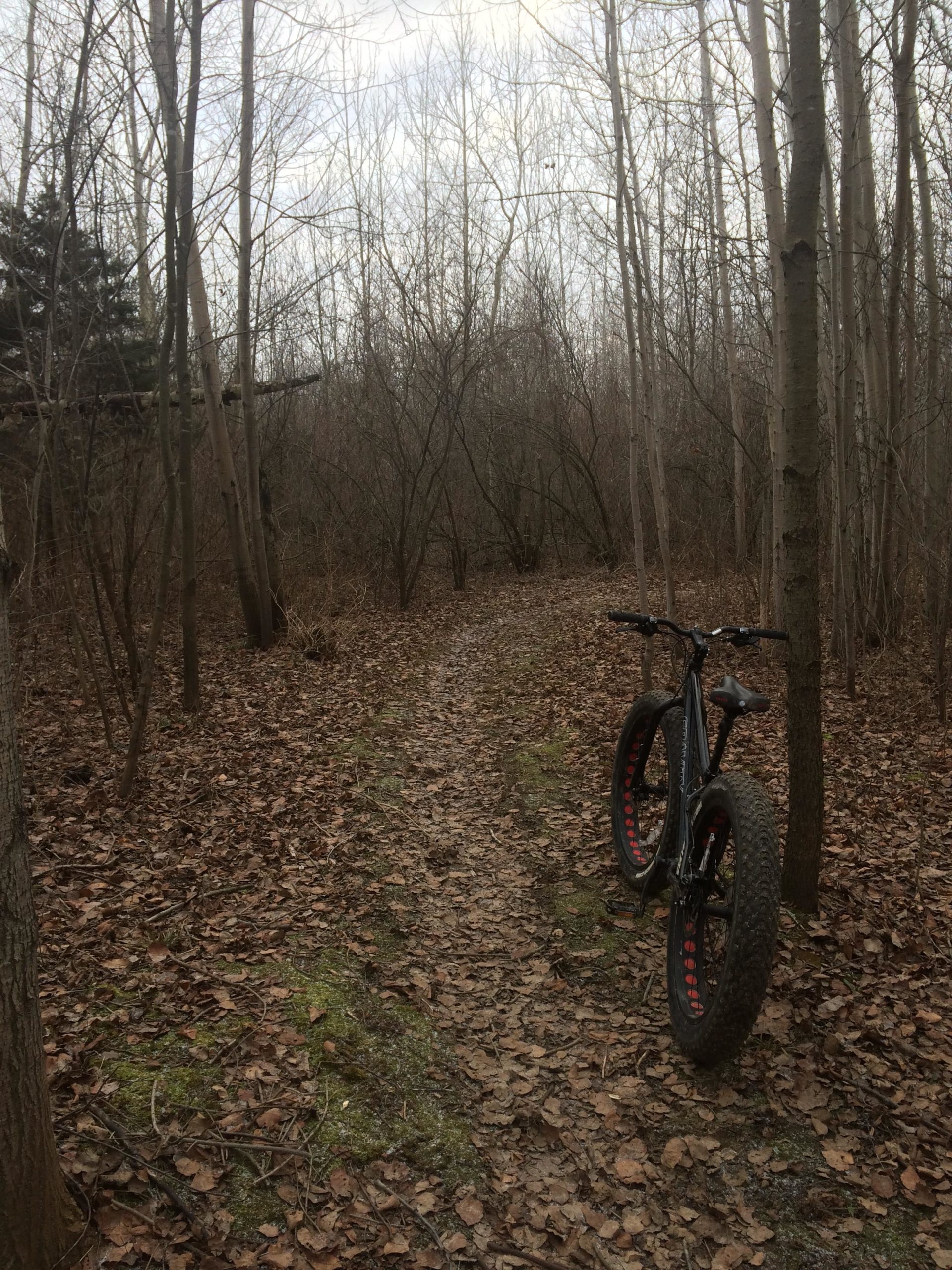 A mountain bike with thick tires is parked on a winding dirt trail surrounded by bare trees and fallen leaves in a wooded area. The sky is overcast, creating a serene and quiet atmosphere. Hewen