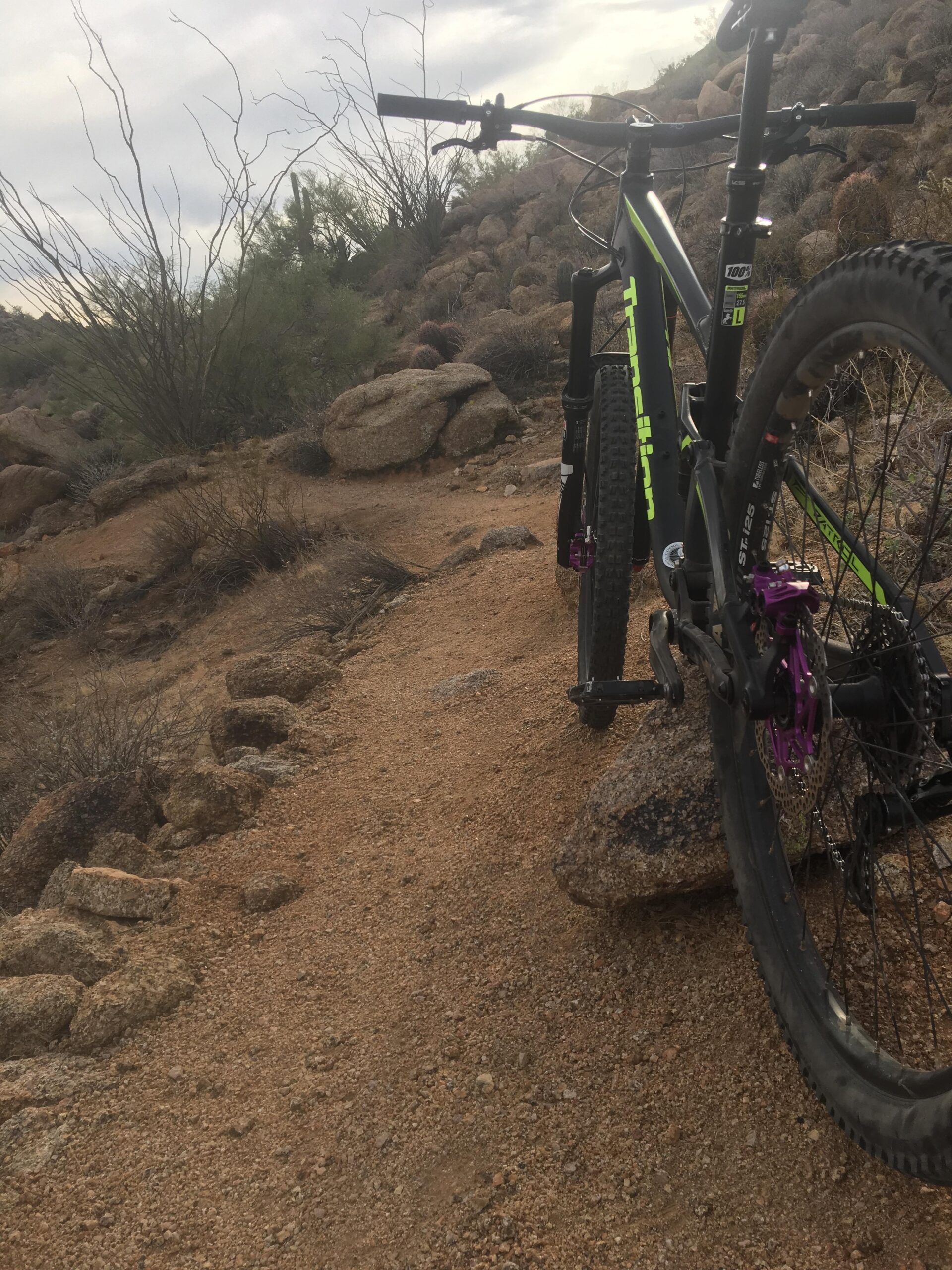 Transition Patrol: A mountain bike resting on a dirt trail surrounded by rocky terrain and sparse desert vegetation under an overcast sky.