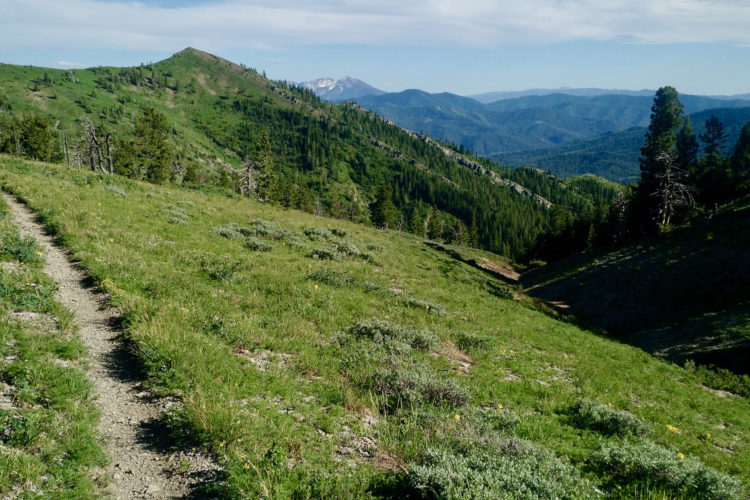 A winding dirt trail leads through a lush green landscape with rolling hills and distant mountains under a clear blue sky. Sparse vegetation and patches of wildflowers dot the grassy terrain, creating a serene and tranquil hiking scene.