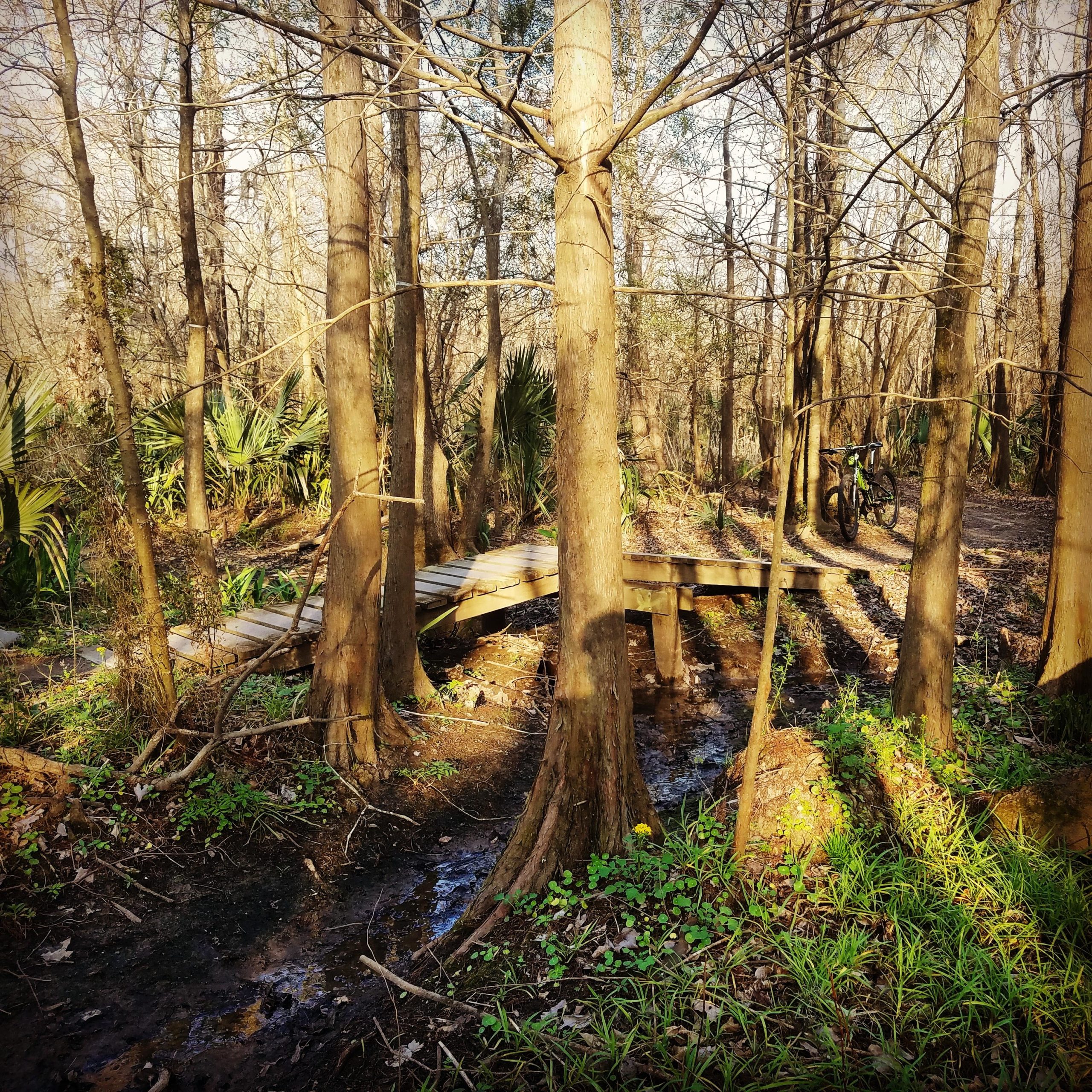 A wooden footbridge crossing a small stream in a wooded area, surrounded by tall trees and green undergrowth. Sunlight filters through the branches, creating dappled shadows on the ground. A bicycle is parked on a nearby trail. Bonnet Carre Spillway Trail mountain bike trail.