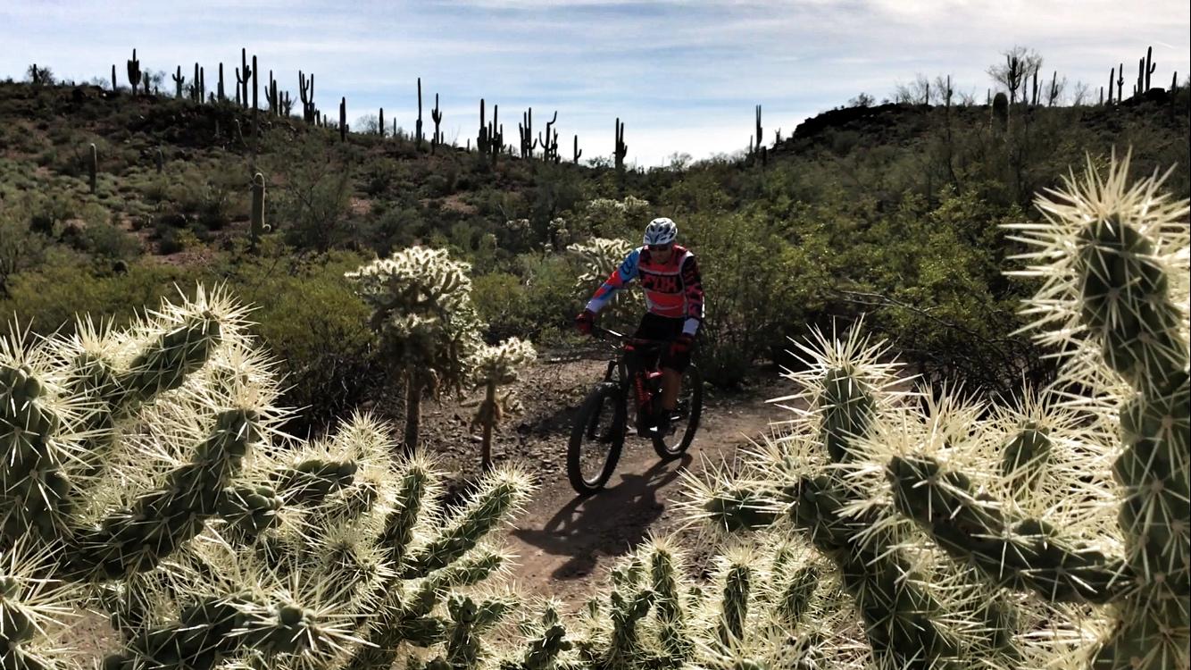 A mountain biker rides along a dirt trail surrounded by cacti and desert vegetation under a clear sky. The scene showcases the rugged landscape and the unique flora of a desert environment. Sweetwater Preserve mountain bike trail.