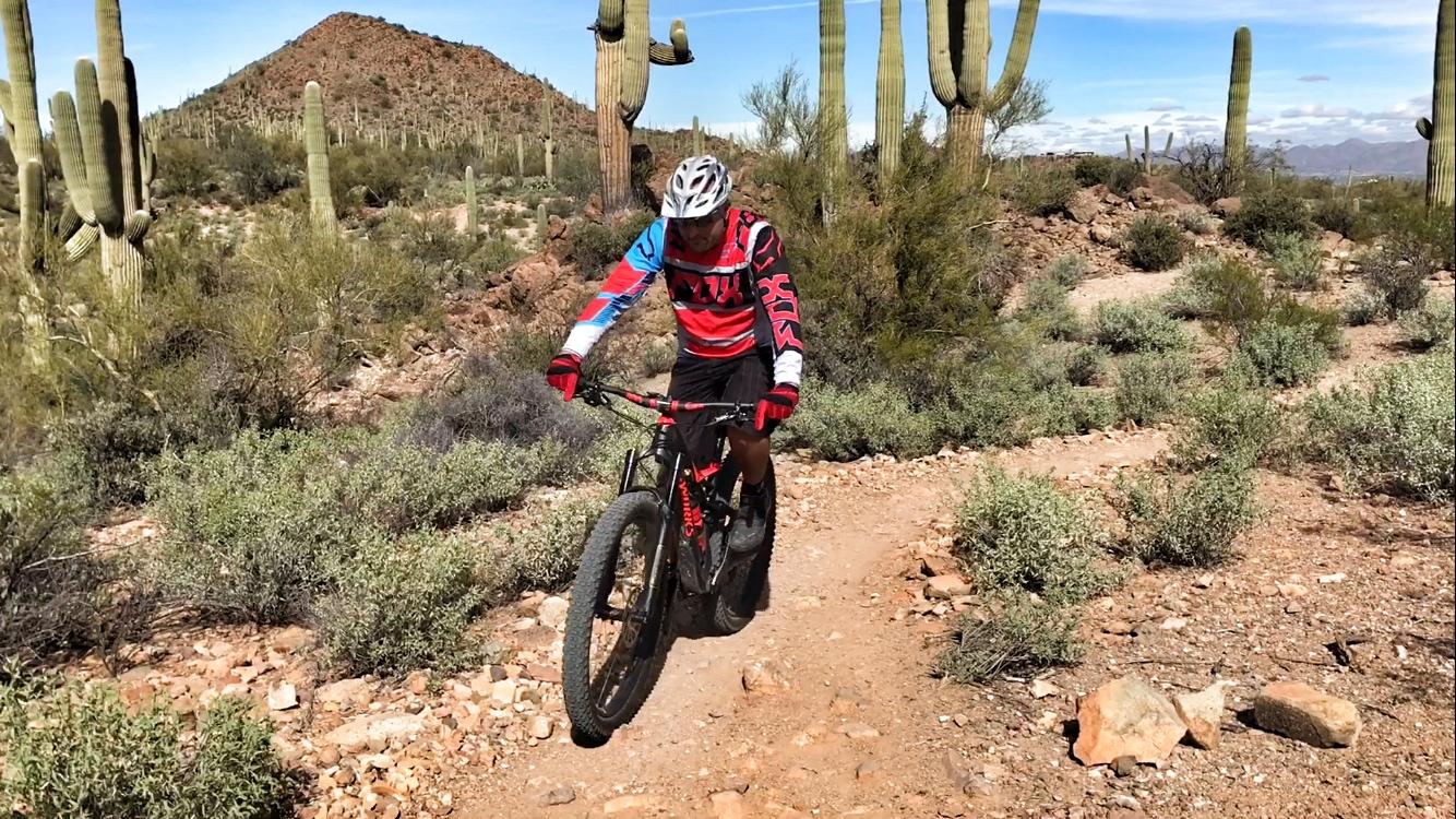 A mountain biker wearing a red and blue jersey navigates a rocky trail surrounded by cacti and desert vegetation under a clear blue sky. Sweetwater Preserve mountain bike trail.
