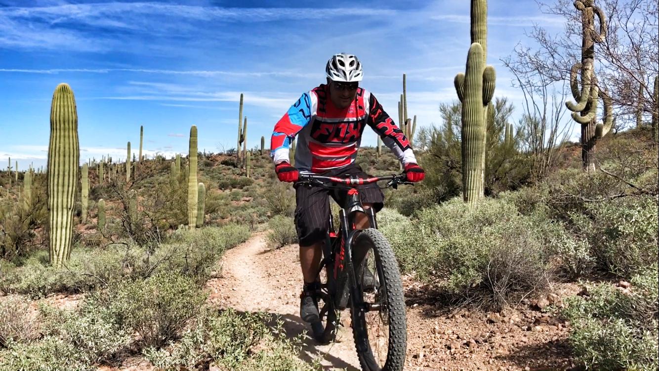 A person riding a mountain bike on a dirt trail surrounded by tall cactus plants and desert vegetation under a blue sky. The rider is dressed in a colorful jersey and helmet, focusing on the trail ahead. Sweetwater Preserve mountain bike trail.