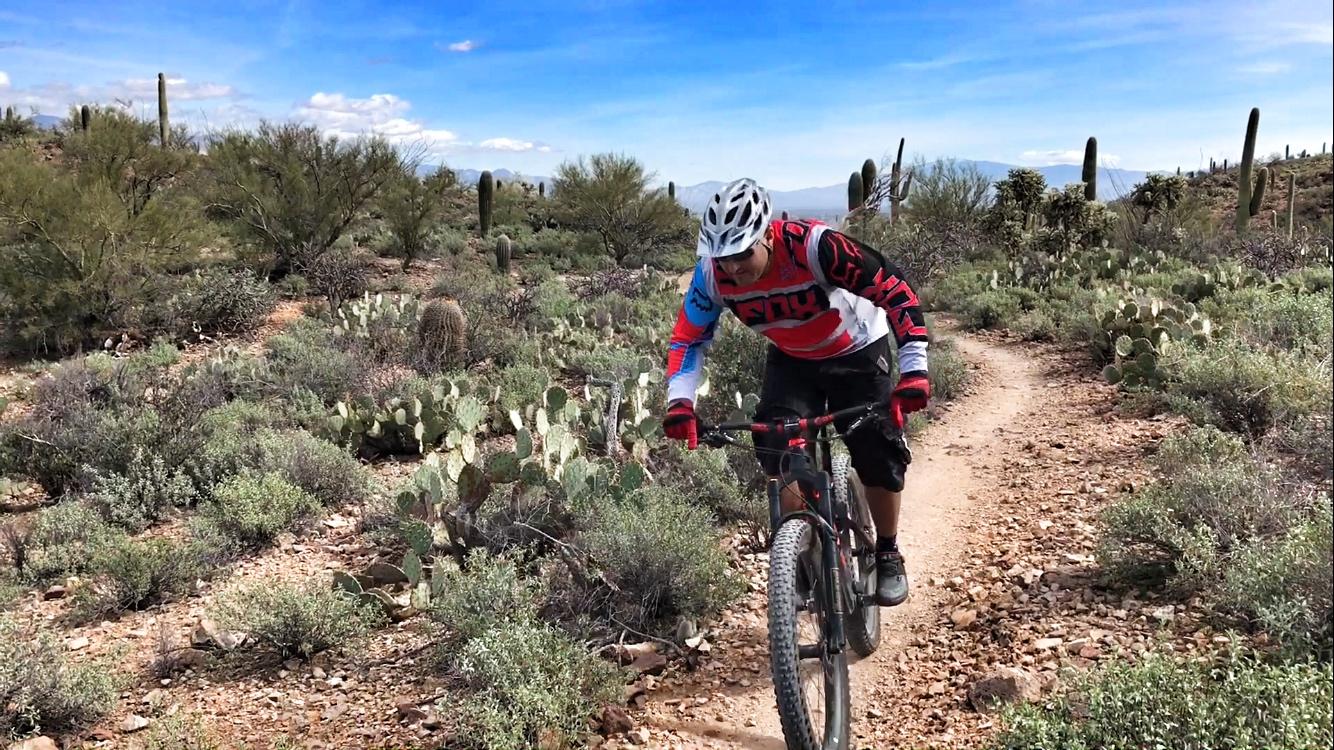 A mountain biker riding along a dirt path through a desert landscape, surrounded by cacti and shrubs, under a blue sky with fluffy clouds. The cyclist is wearing a red and blue jersey, black shorts, and a helmet, focused on navigating the trail. Sweetwater Preserve mountain bike trail.