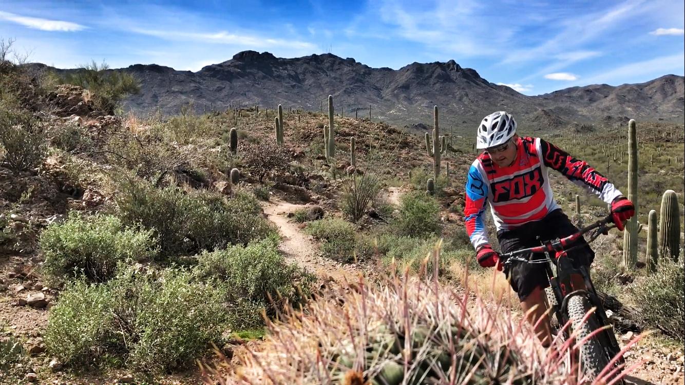 A mountain biker navigating a rocky trail surrounded by desert vegetation, including cacti and shrubs, with a mountainous backdrop under a blue sky. Sweetwater Preserve mountain bike trail.