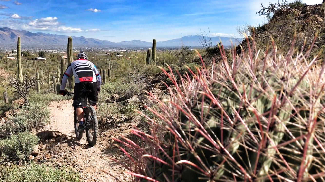 A mountain biker rides along a dirt trail in a desert landscape, surrounded by cacti and shrubs. In the background, mountains and a clear blue sky are visible, with a view of a small town in the valley below. Sweetwater Preserve mountain bike trail.