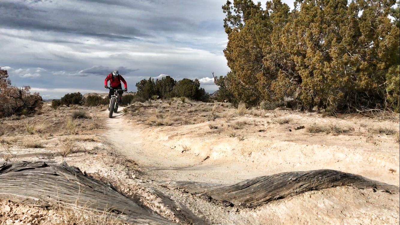A mountain biker riding on a dirt trail surrounded by shrubs and low vegetation under a cloudy sky. The terrain is dry with visible tire tracks and a large piece of weathered wood on the ground. White Ridge Bike Trails mountain bike trail.