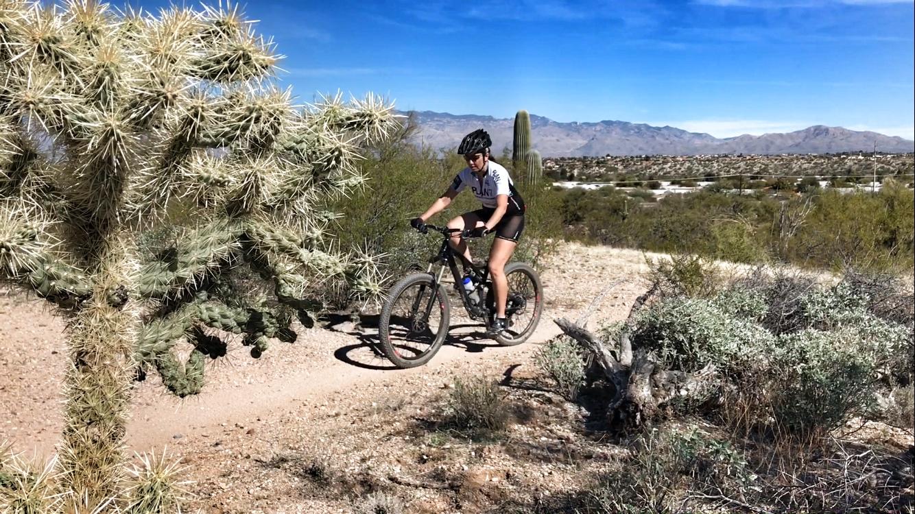 A mountain biker riding on a dirt trail surrounded by desert vegetation, including cacti and scattered shrubs, with a mountainous landscape and blue sky in the background. Fantasy Island mountain bike trail.