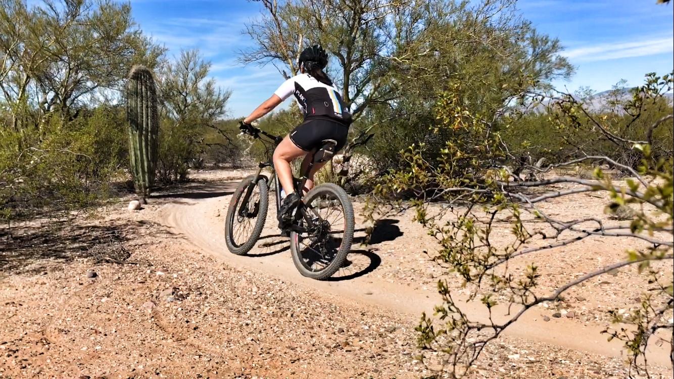 A person riding a mountain bike on a sandy trail surrounded by desert vegetation and cacti under a clear blue sky. Fantasy Island mountain bike trail.