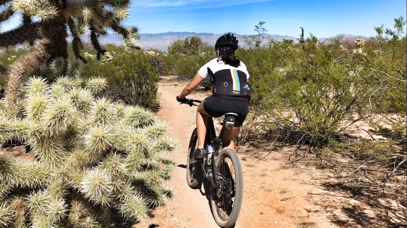 A person riding a mountain bike along a dirt trail surrounded by cacti and desert vegetation, under a clear blue sky. The rider is wearing a sporty cycling jersey and shorts, focusing on the path ahead. Fantasy Island mountain bike trail.