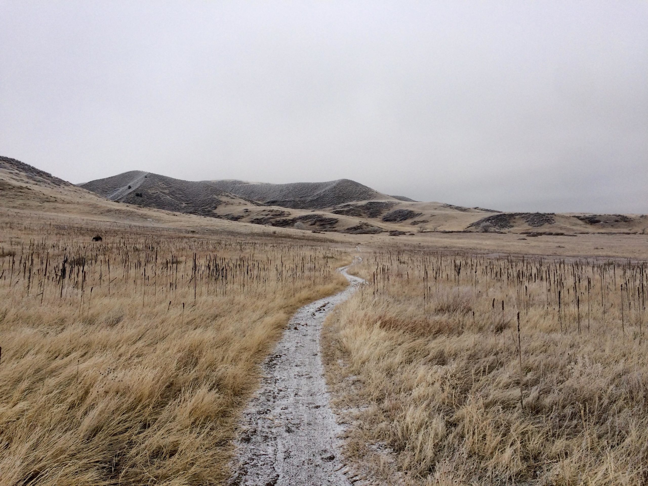 A winding dirt path leads through a vast, open landscape of dry grass and sparse vegetation, with gentle hills rising in the background under a cloudy sky. The scene is subdued, capturing an overcast and serene atmosphere. Green Mountain mountain bike trail.