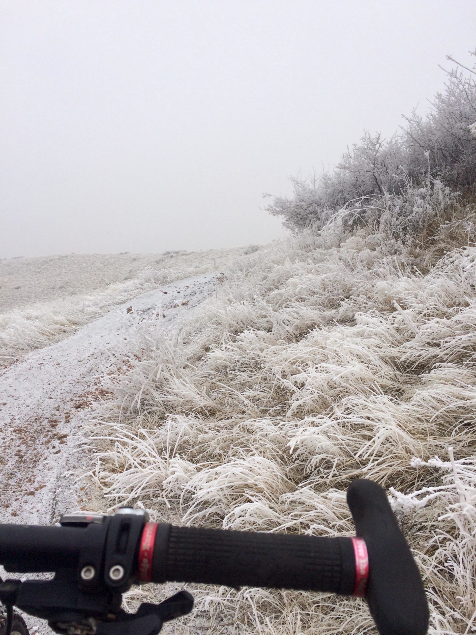 A close-up view of a bicycle handlebar resting on a snow-covered path surrounded by frost-covered grass and shrubs. The scene is shrouded in fog, creating a misty, monochromatic atmosphere with shades of white and gray. Green Mountain mountain bike trail.